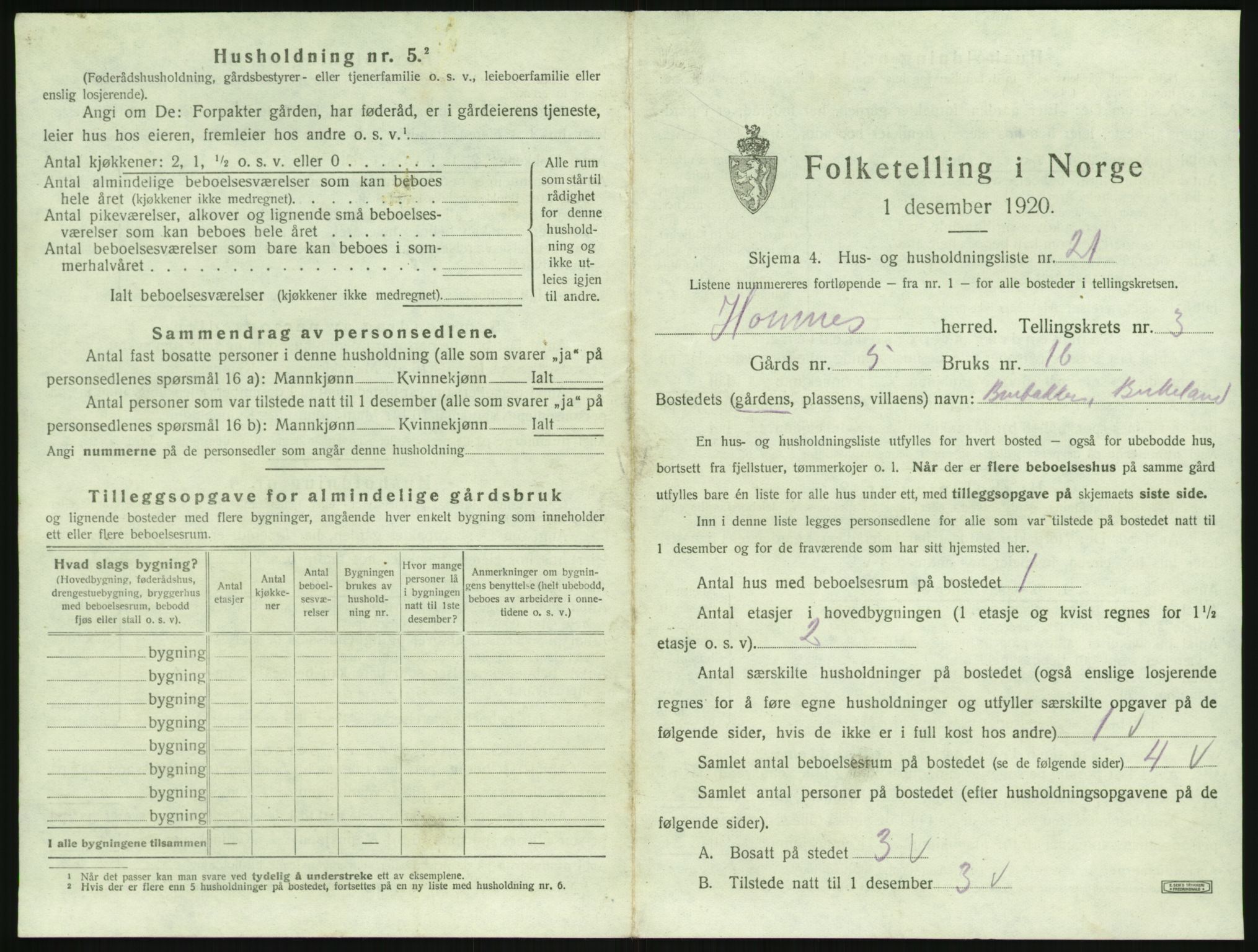 SAK, 1920 census for Hornnes, 1920, p. 157