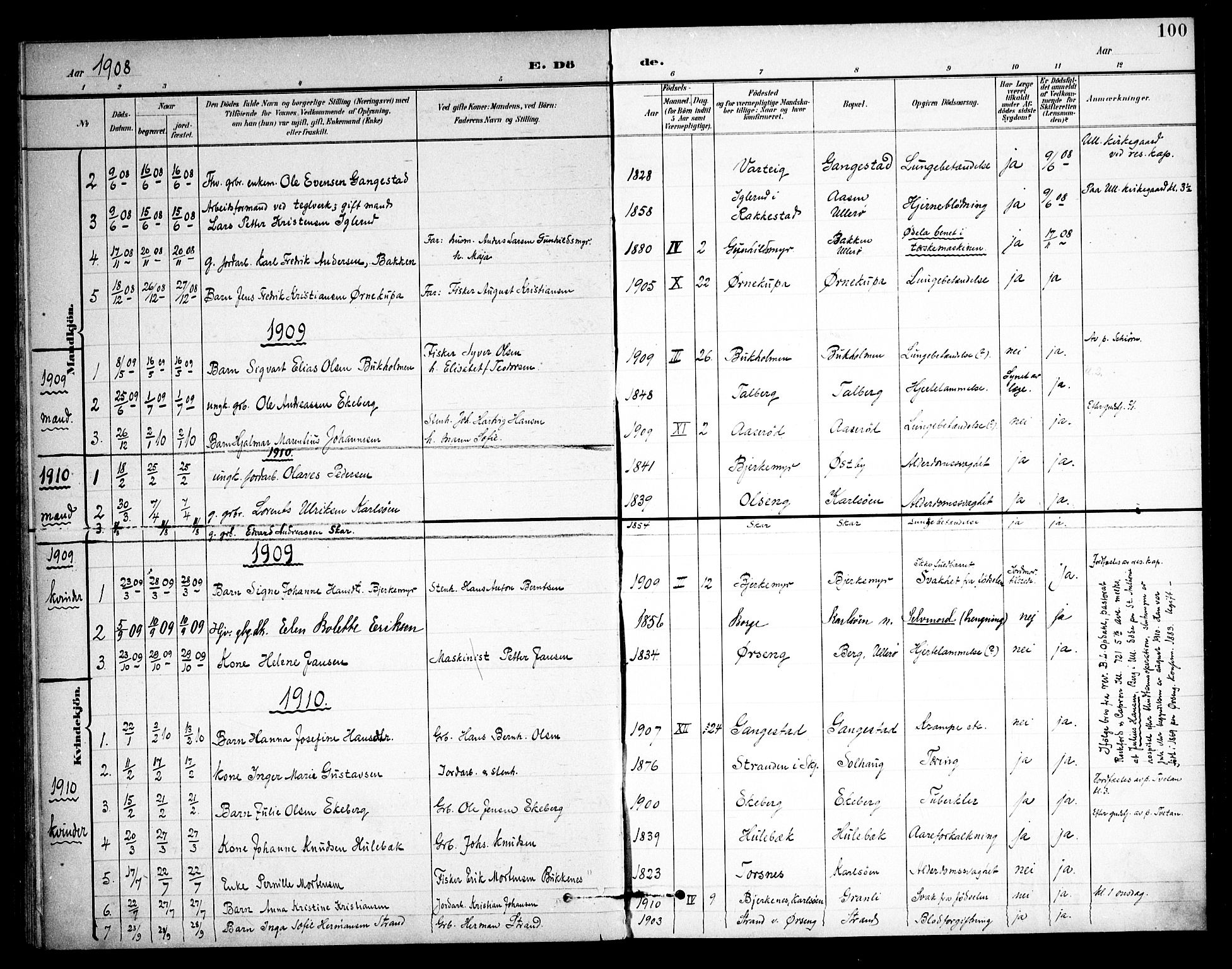 Skjeberg prestekontor Kirkebøker, AV/SAO-A-10923/F/Fb/L0002: Parish register (official) no. II 2, 1895-1910, p. 100