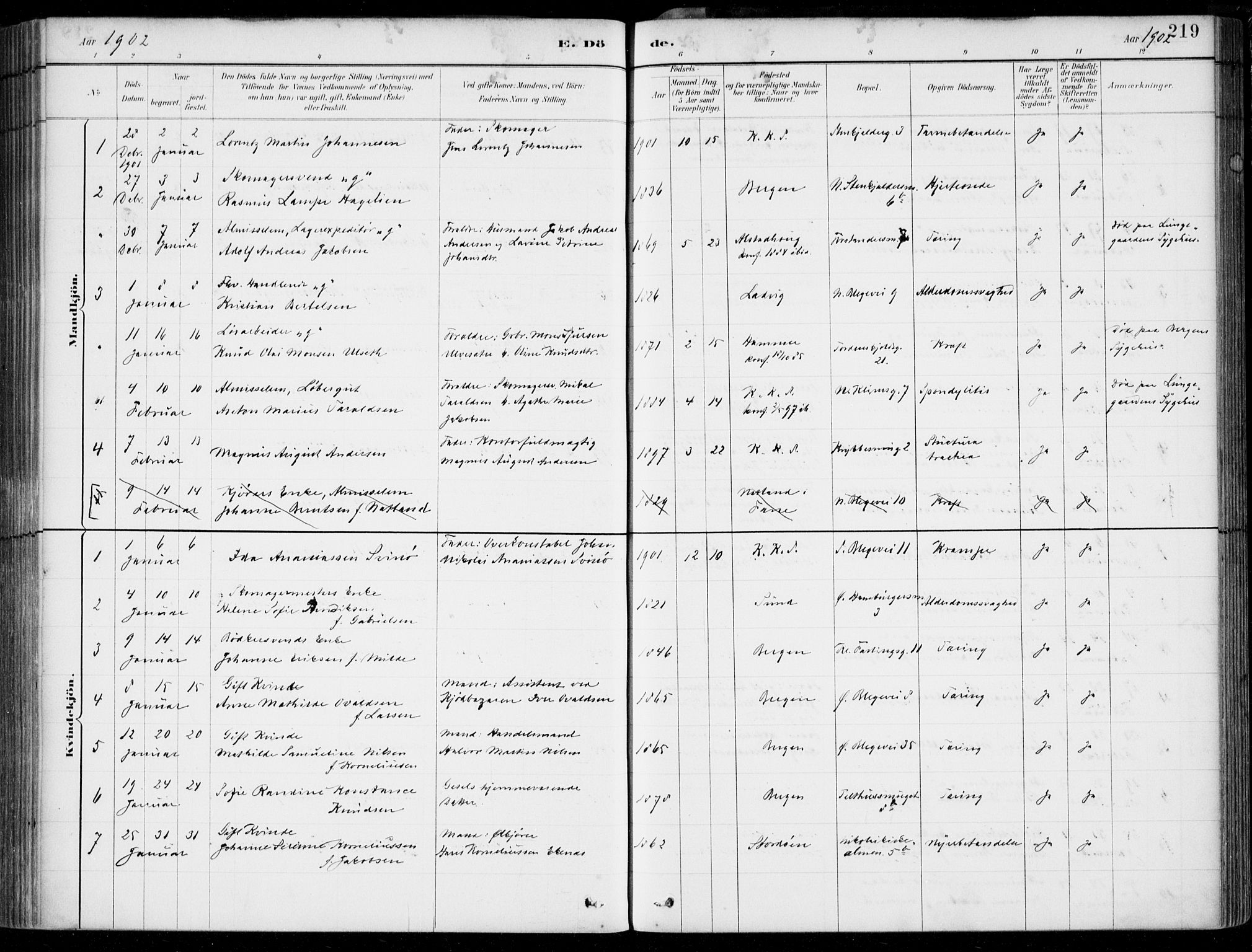 Korskirken sokneprestembete, AV/SAB-A-76101/H/Hab: Parish register (copy) no. E 4, 1884-1910, p. 219