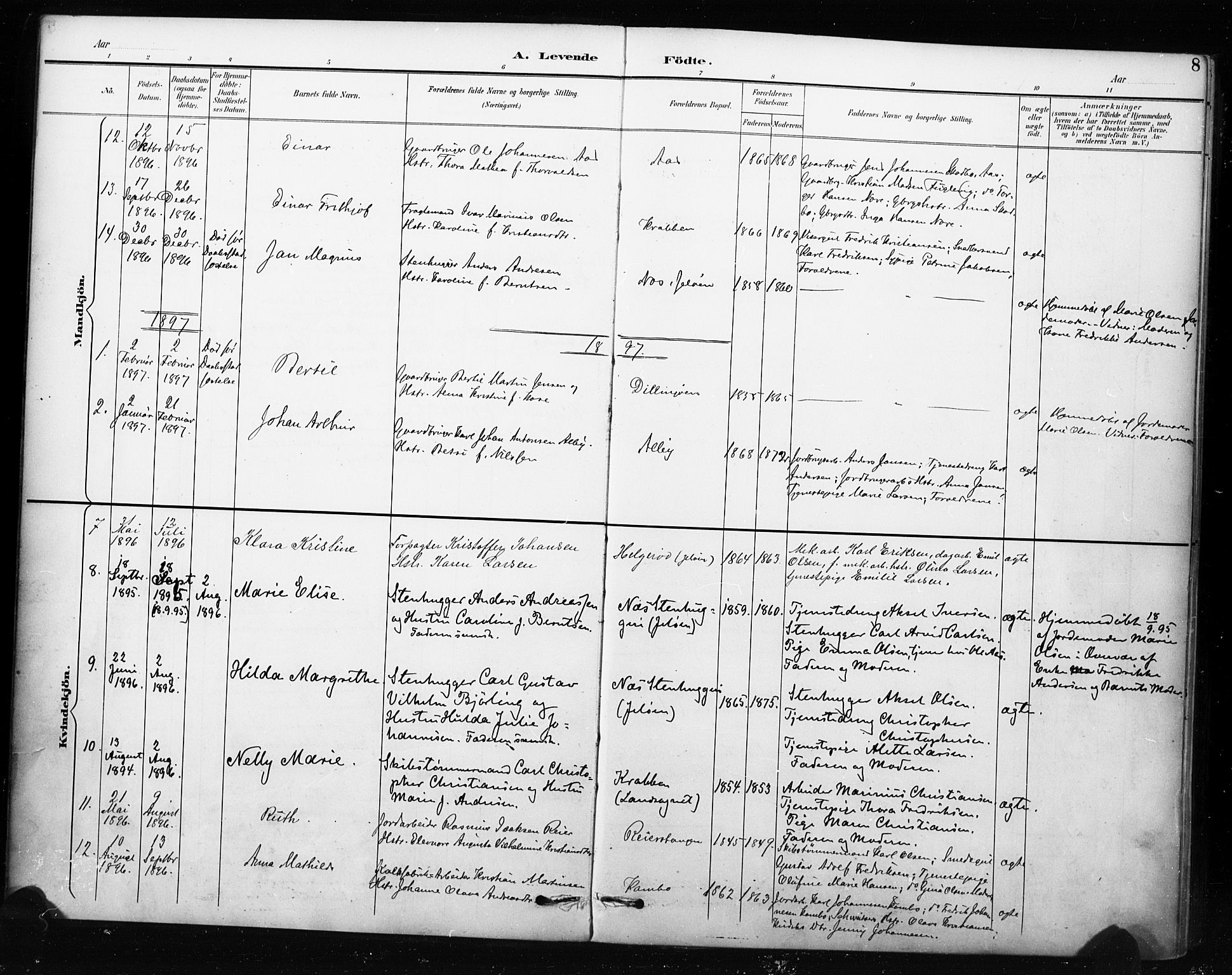 Moss prestekontor Kirkebøker, AV/SAO-A-2003/F/Fc/L0002: Parish register (official) no. III 2, 1894-1906, p. 8