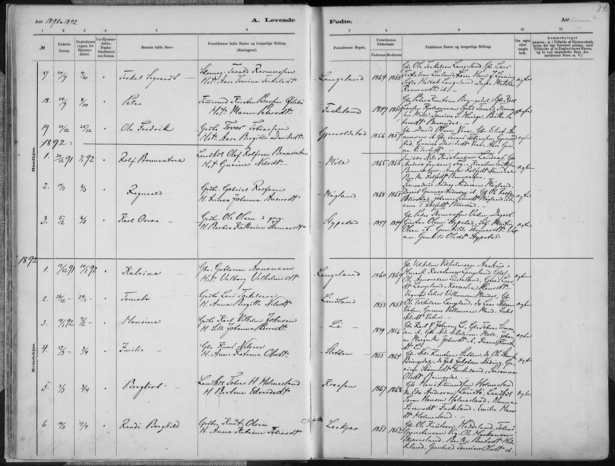 Holum sokneprestkontor, AV/SAK-1111-0022/F/Fa/Faa/L0007: Parish register (official) no. A 7, 1884-1907, p. 24