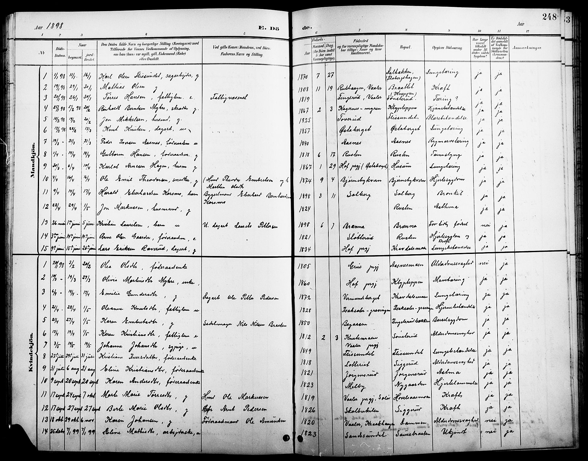 Åsnes prestekontor, SAH/PREST-042/H/Ha/Hab/L0004: Parish register (copy) no. 4, 1895-1909, p. 248