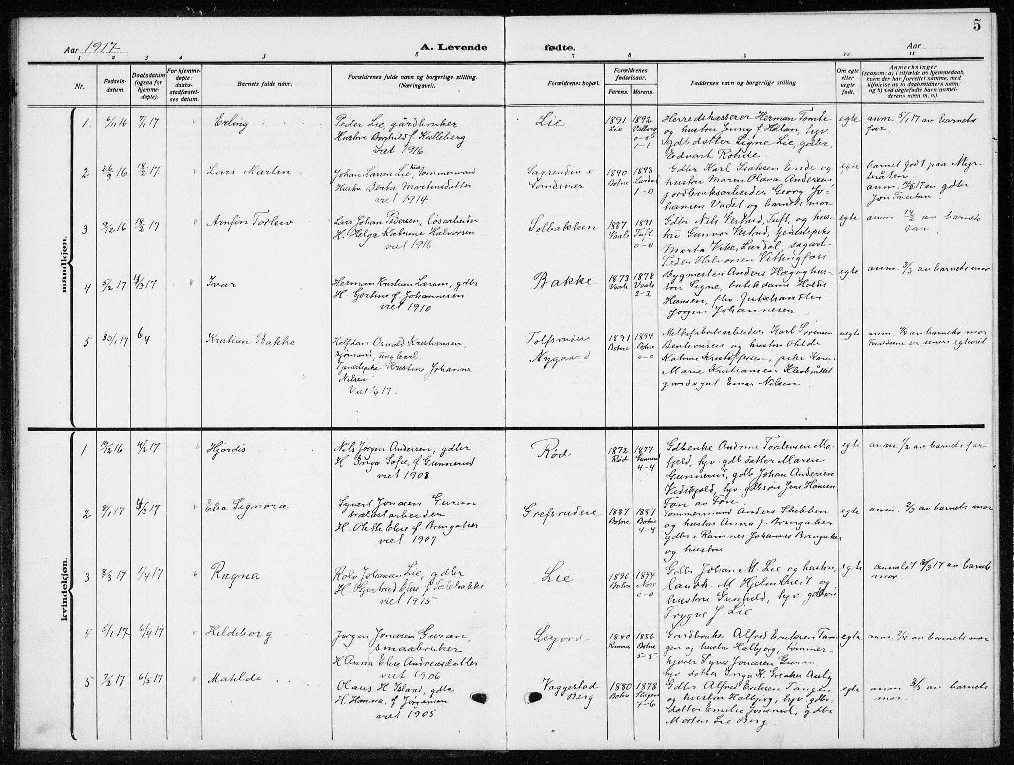 Botne kirkebøker, AV/SAKO-A-340/G/Ga/L0005: Parish register (copy) no. I 5, 1916-1934, p. 5