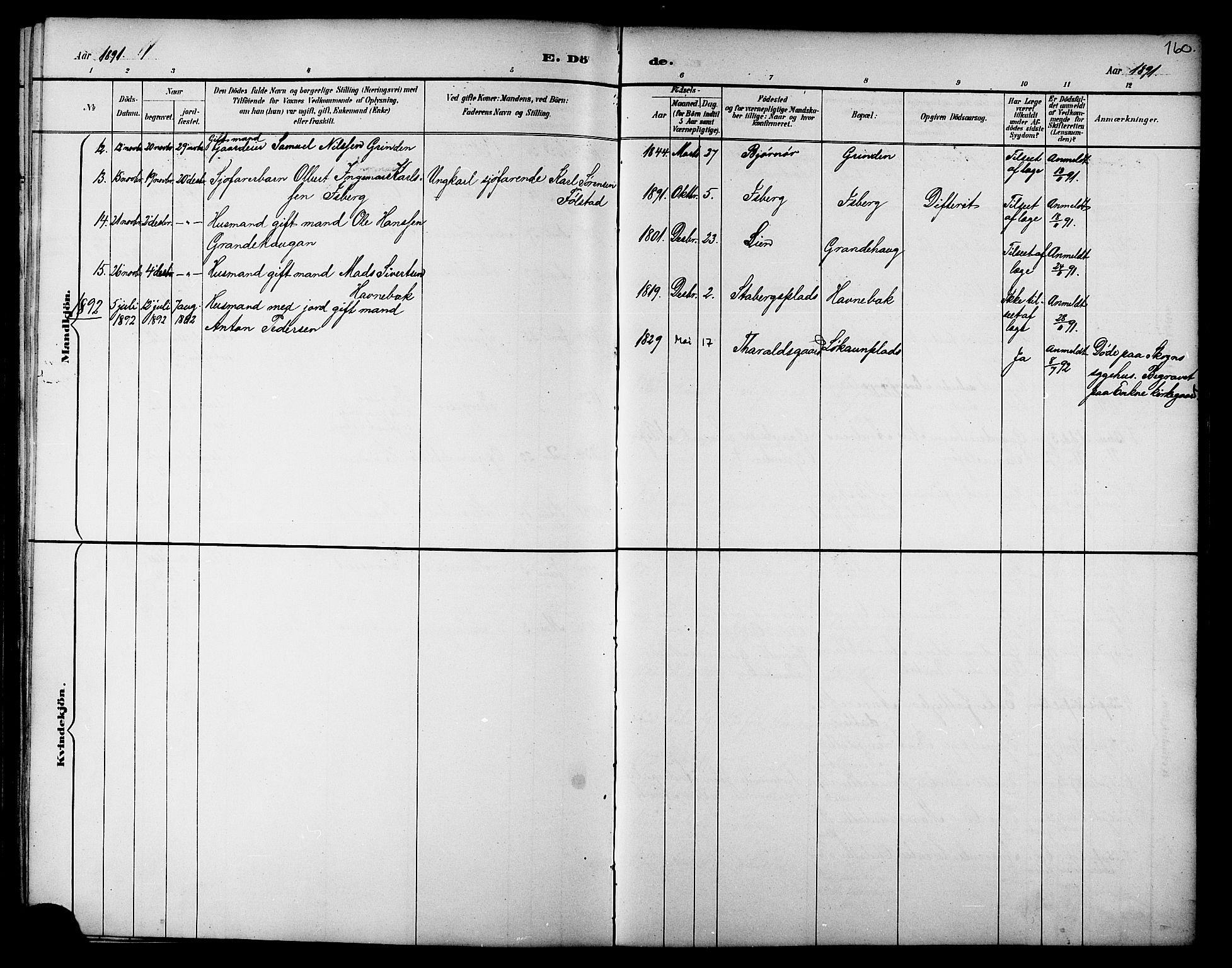 Ministerialprotokoller, klokkerbøker og fødselsregistre - Nord-Trøndelag, AV/SAT-A-1458/733/L0327: Parish register (copy) no. 733C02, 1888-1918, p. 160