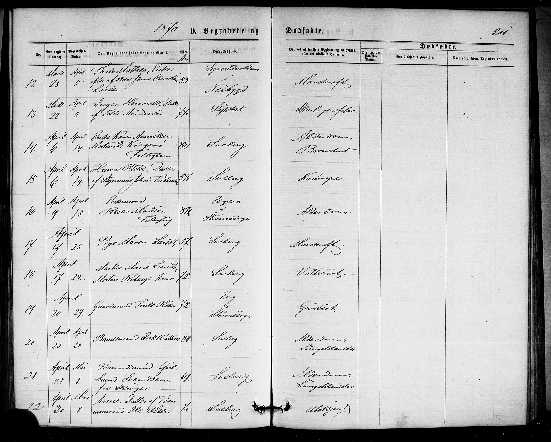 Strømm kirkebøker, SAKO/A-322/F/Fa/L0002: Parish register (official) no. I 2, 1870-1877, p. 201