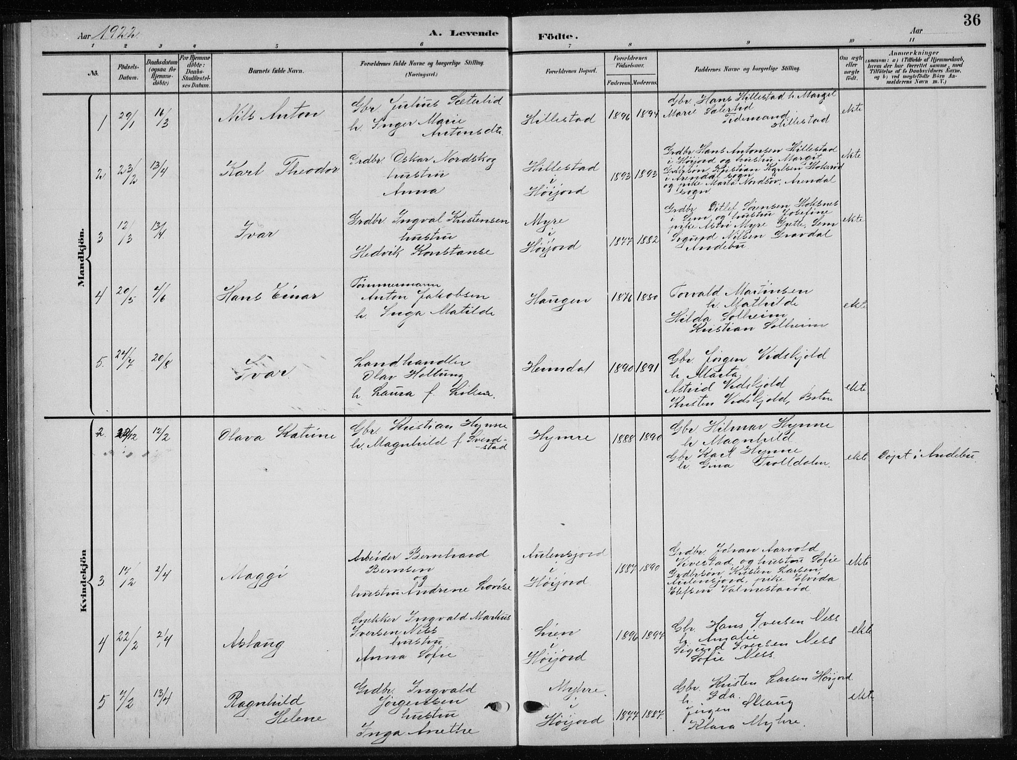 Andebu kirkebøker, AV/SAKO-A-336/G/Gb/L0001: Parish register (copy) no. II 1, 1901-1936, p. 36