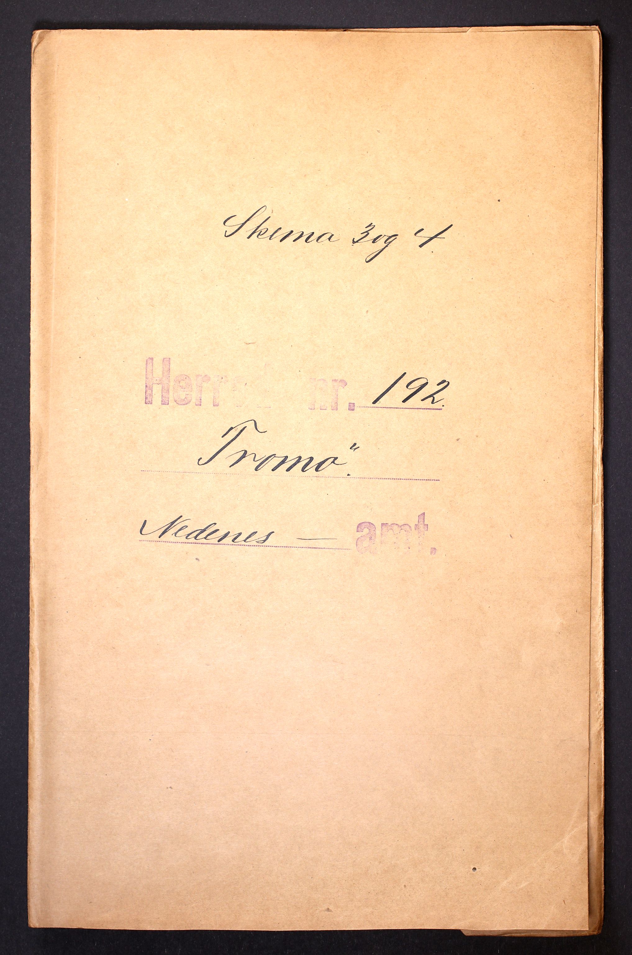 RA, 1910 census for Tromøy, 1910, p. 1