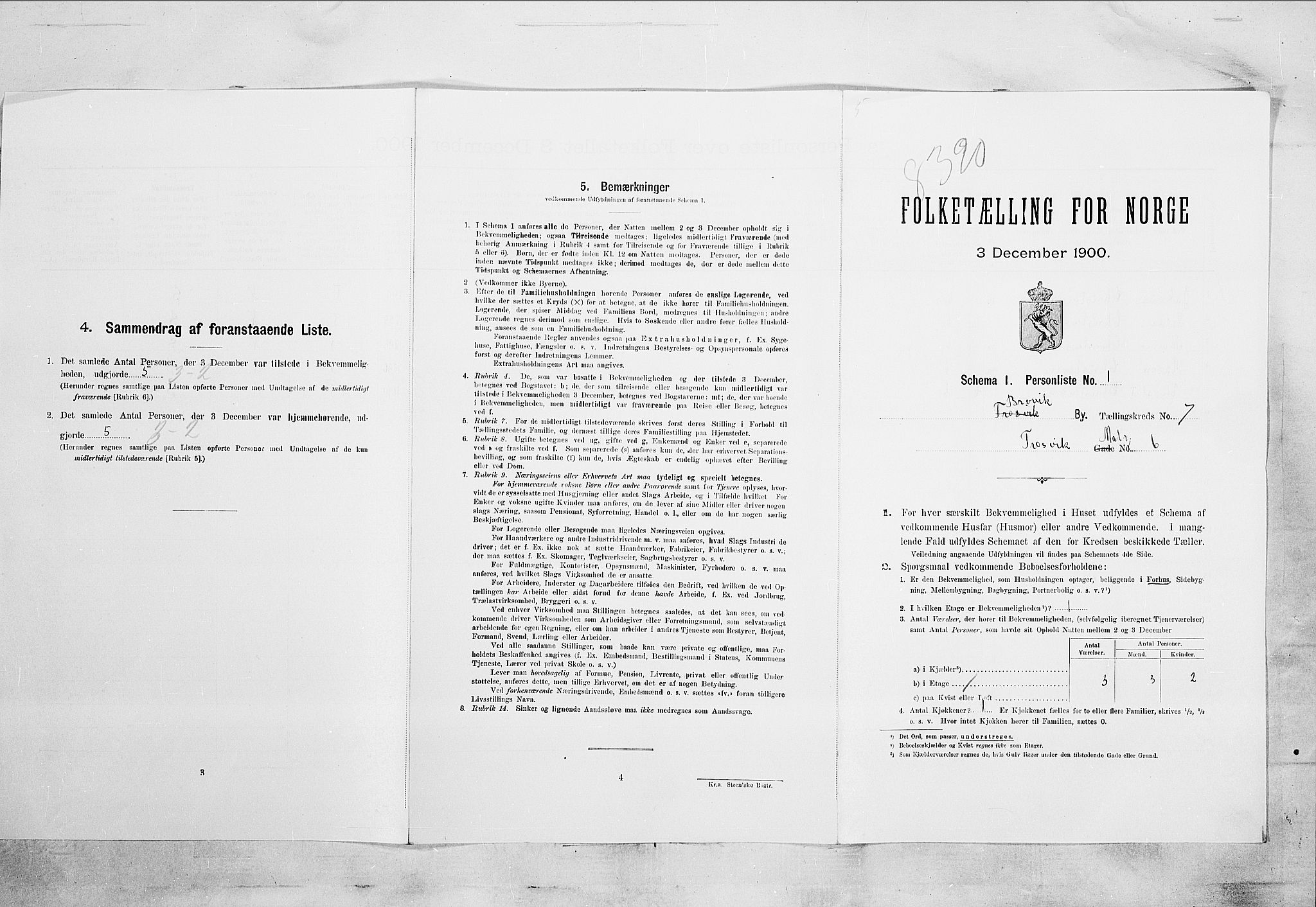 SAKO, 1900 census for Brevik, 1900, p. 1348