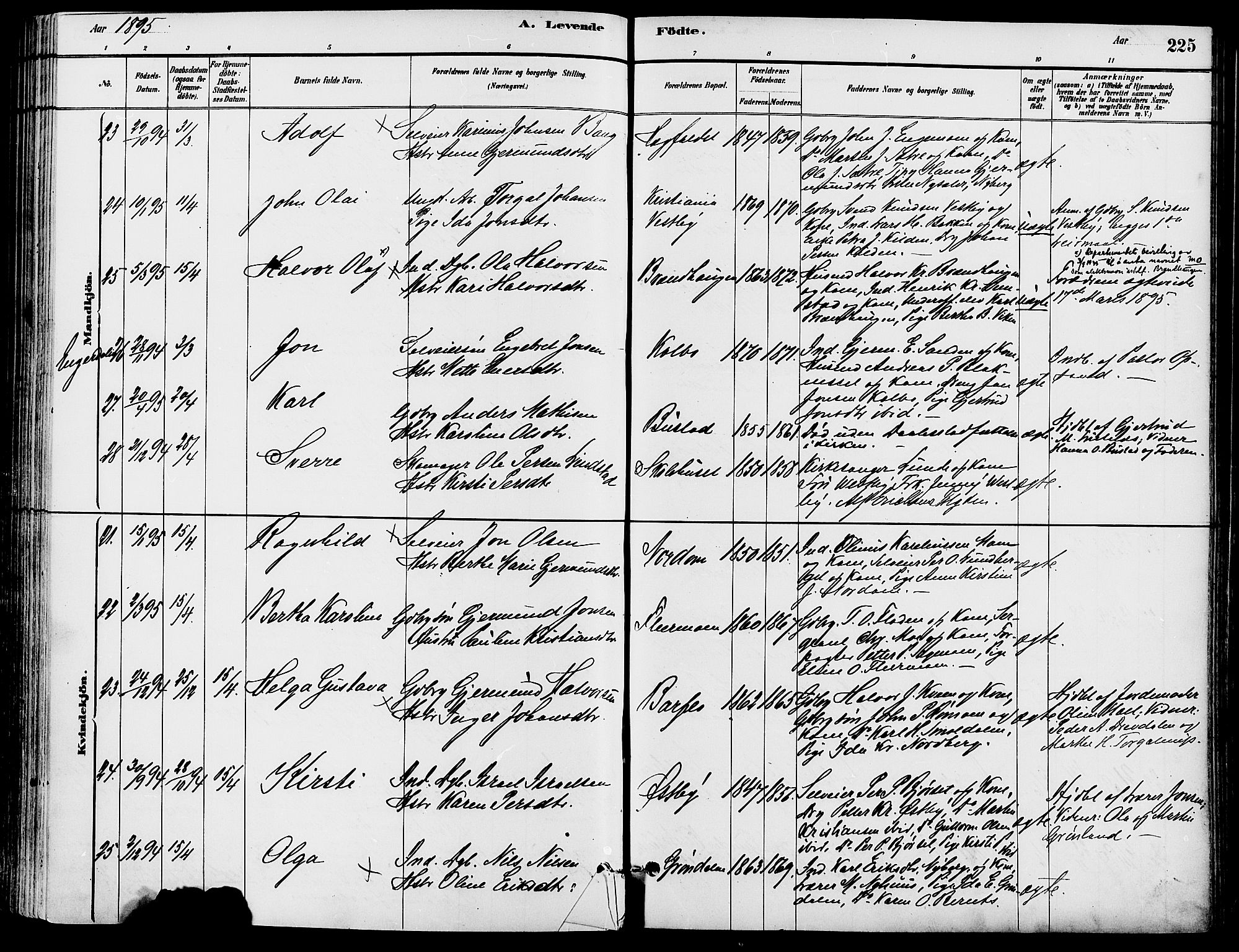 Trysil prestekontor, SAH/PREST-046/H/Ha/Haa/L0008: Parish register (official) no. 8, 1881-1897, p. 225