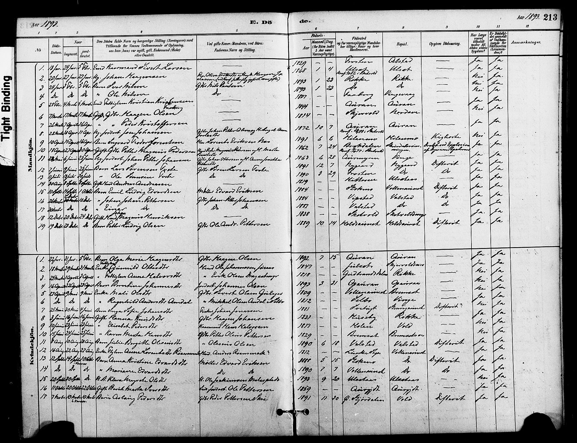 Ministerialprotokoller, klokkerbøker og fødselsregistre - Nord-Trøndelag, SAT/A-1458/712/L0100: Parish register (official) no. 712A01, 1880-1900, p. 213