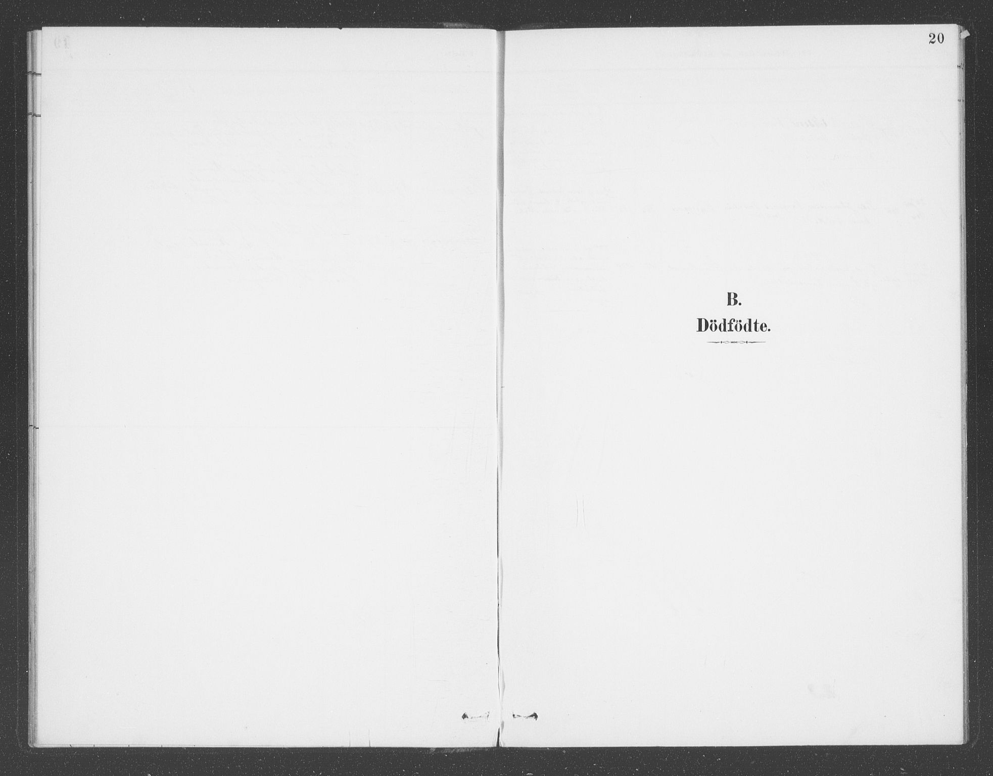 Balestrand sokneprestembete, SAB/A-79601/H/Haa/Haae/L0001: Parish register (official) no. E  1, 1889-1909, p. 20