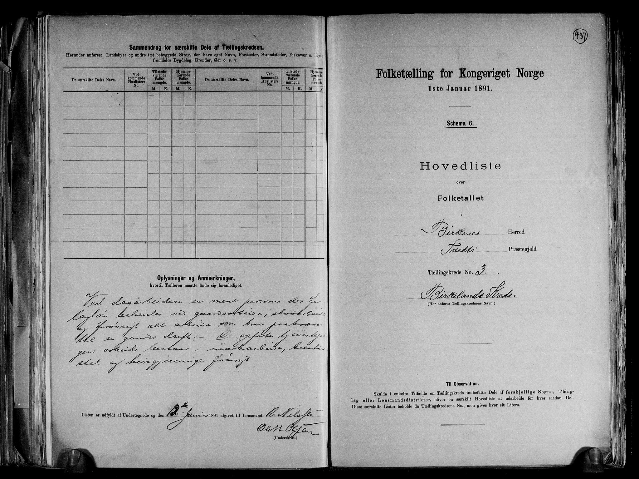 RA, 1891 Census for 0928 Birkenes, 1891, p. 9