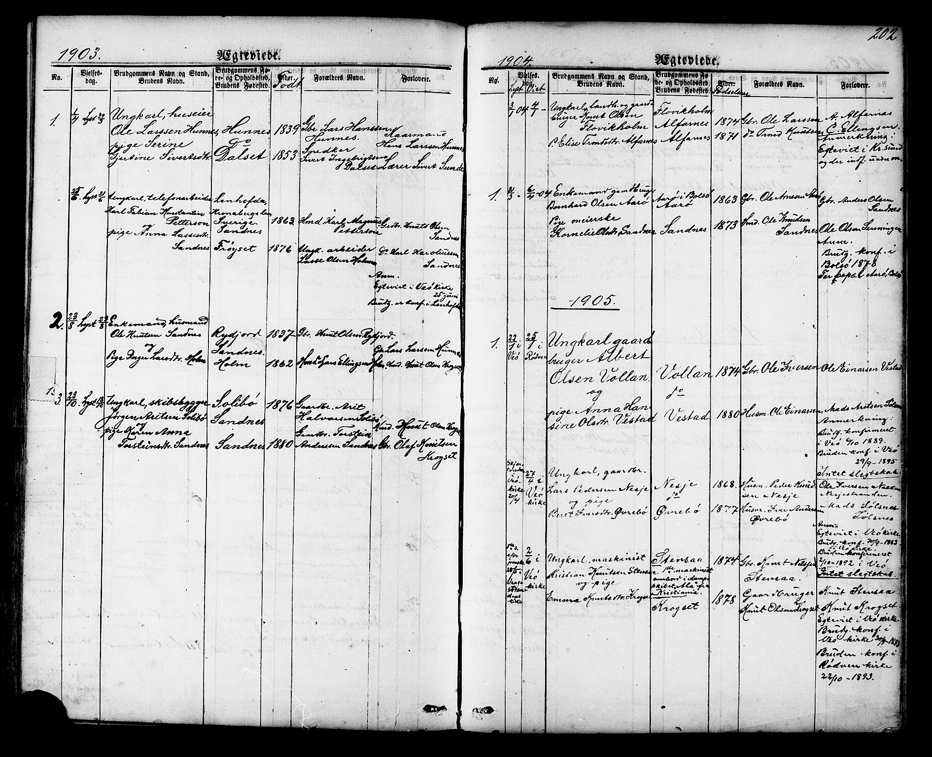 Ministerialprotokoller, klokkerbøker og fødselsregistre - Møre og Romsdal, SAT/A-1454/548/L0614: Parish register (copy) no. 548C02, 1867-1917, p. 202