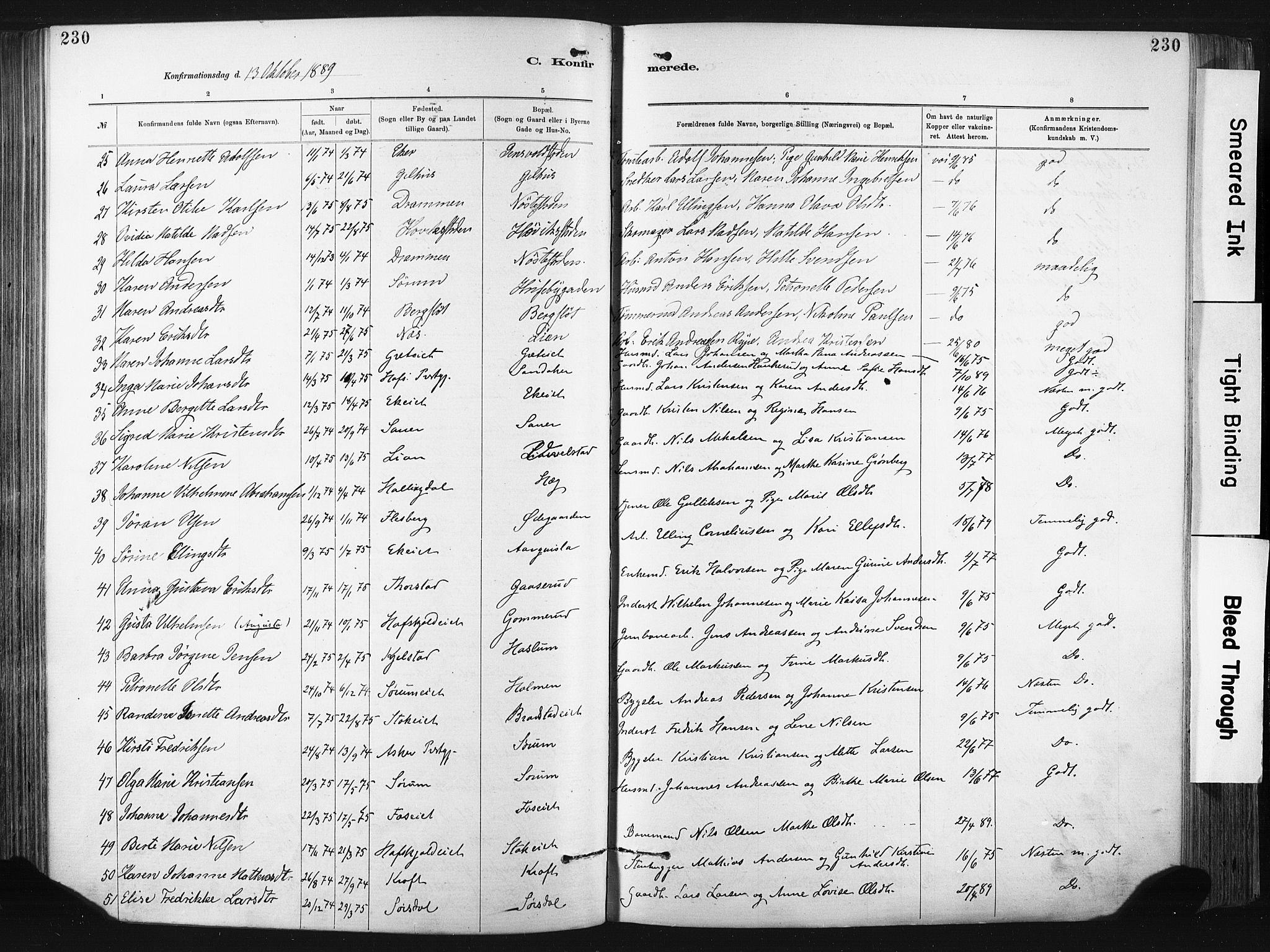 Lier kirkebøker, SAKO/A-230/F/Fa/L0015: Parish register (official) no. I 15, 1883-1894, p. 230