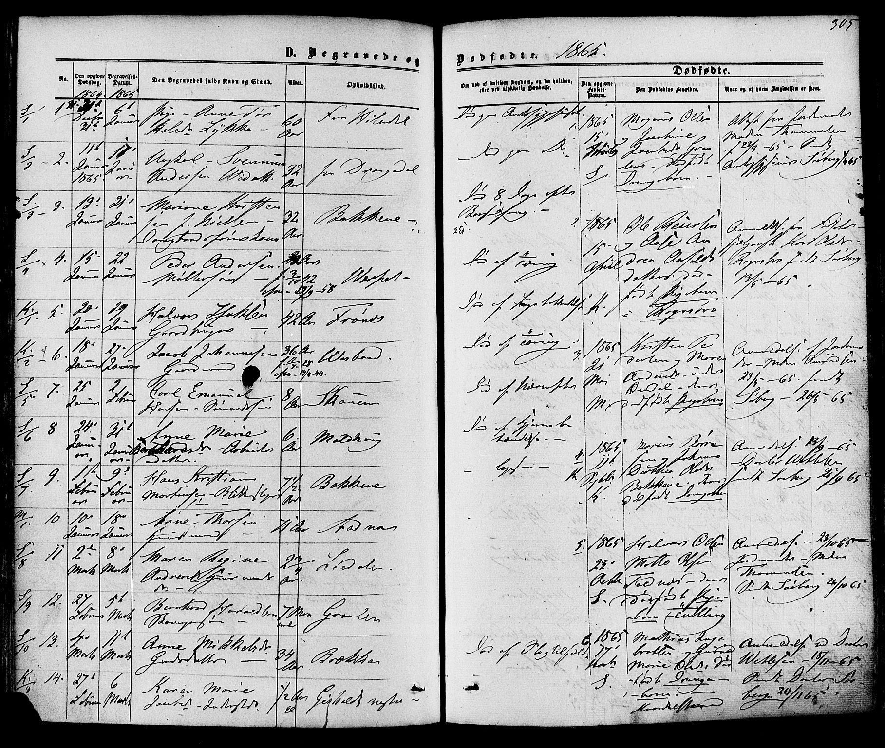 Solum kirkebøker, SAKO/A-306/F/Fa/L0008: Parish register (official) no. I 8, 1865-1876, p. 305