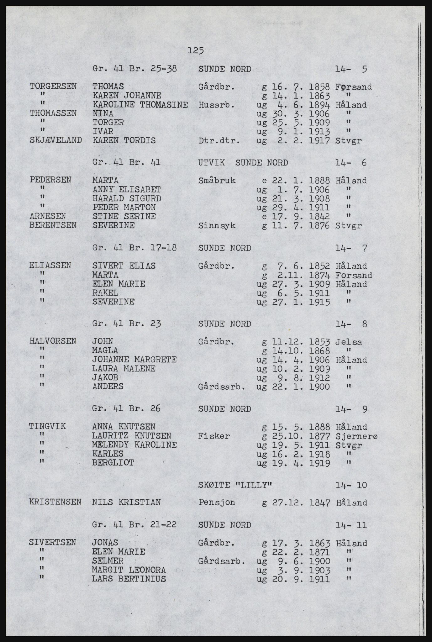 SAST, Copy of 1920 census for Håland, 1920, p. 131