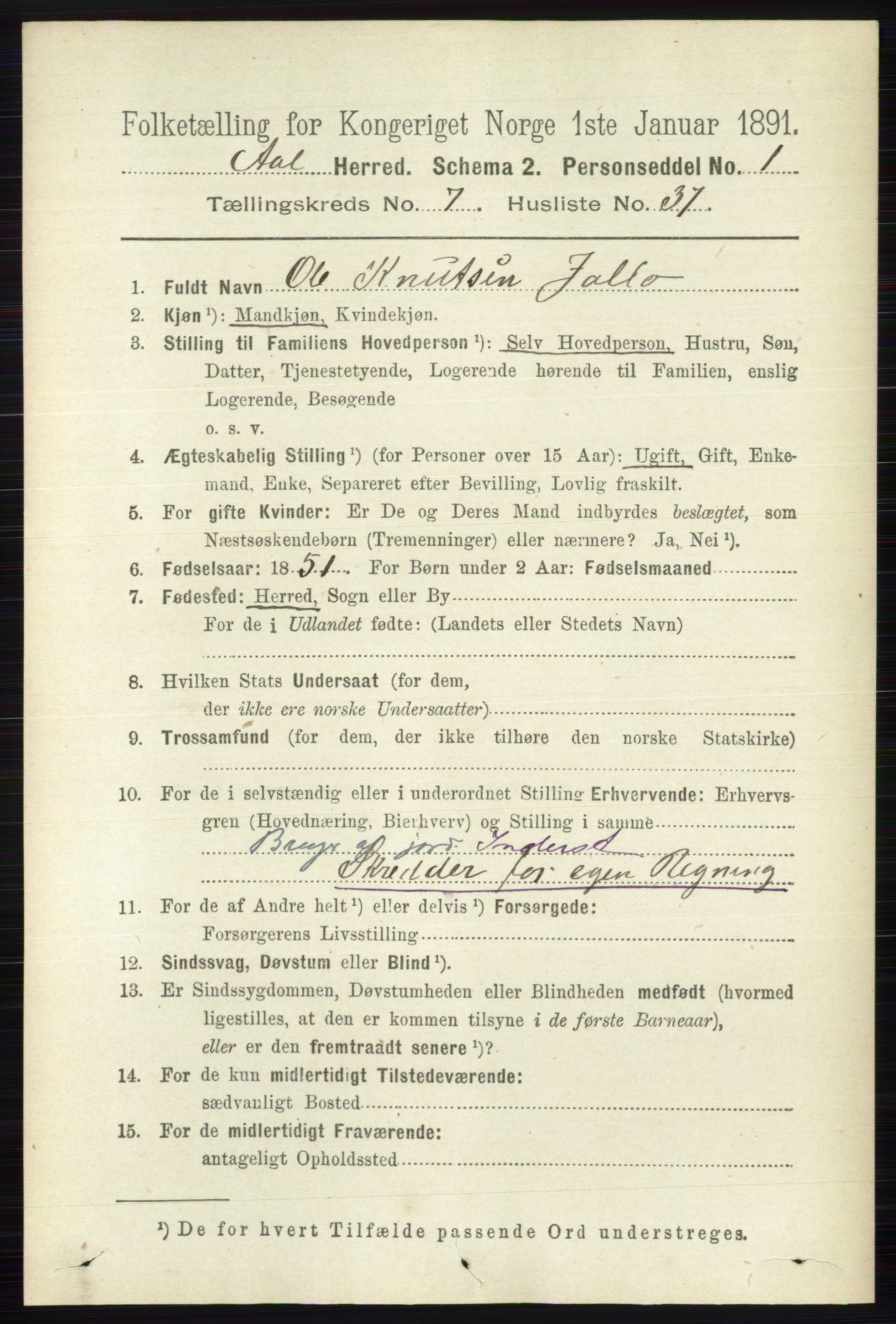 RA, 1891 census for 0619 Ål, 1891, p. 1989
