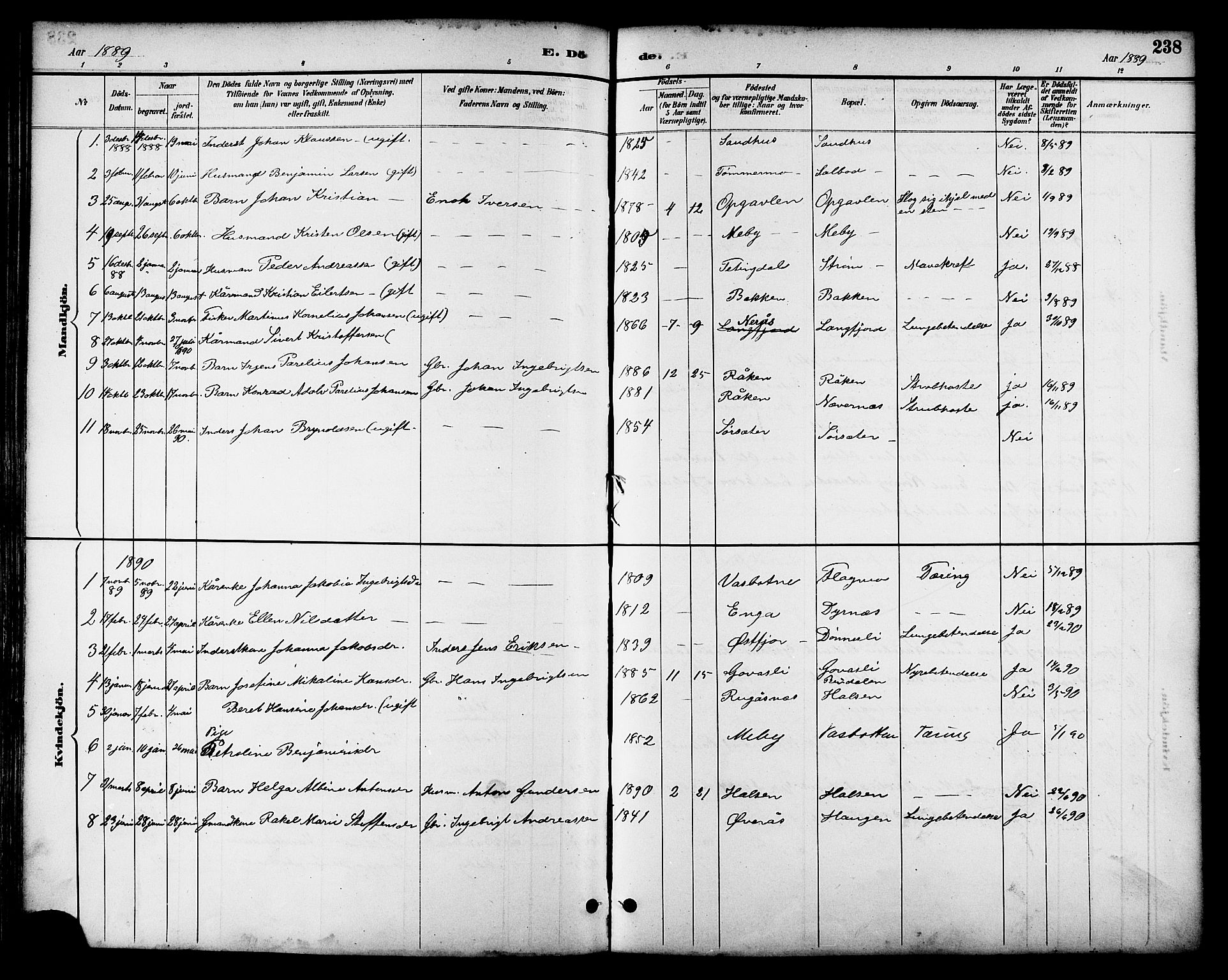 Ministerialprotokoller, klokkerbøker og fødselsregistre - Nordland, AV/SAT-A-1459/814/L0230: Parish register (copy) no. 814C03, 1884-1911, p. 238