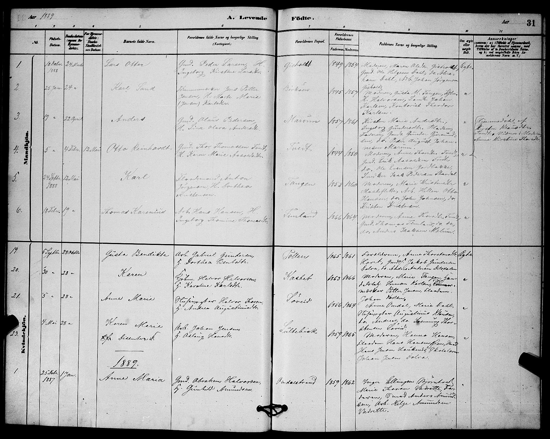 Solum kirkebøker, AV/SAKO-A-306/G/Gb/L0003: Parish register (copy) no. II 3, 1880-1898, p. 31