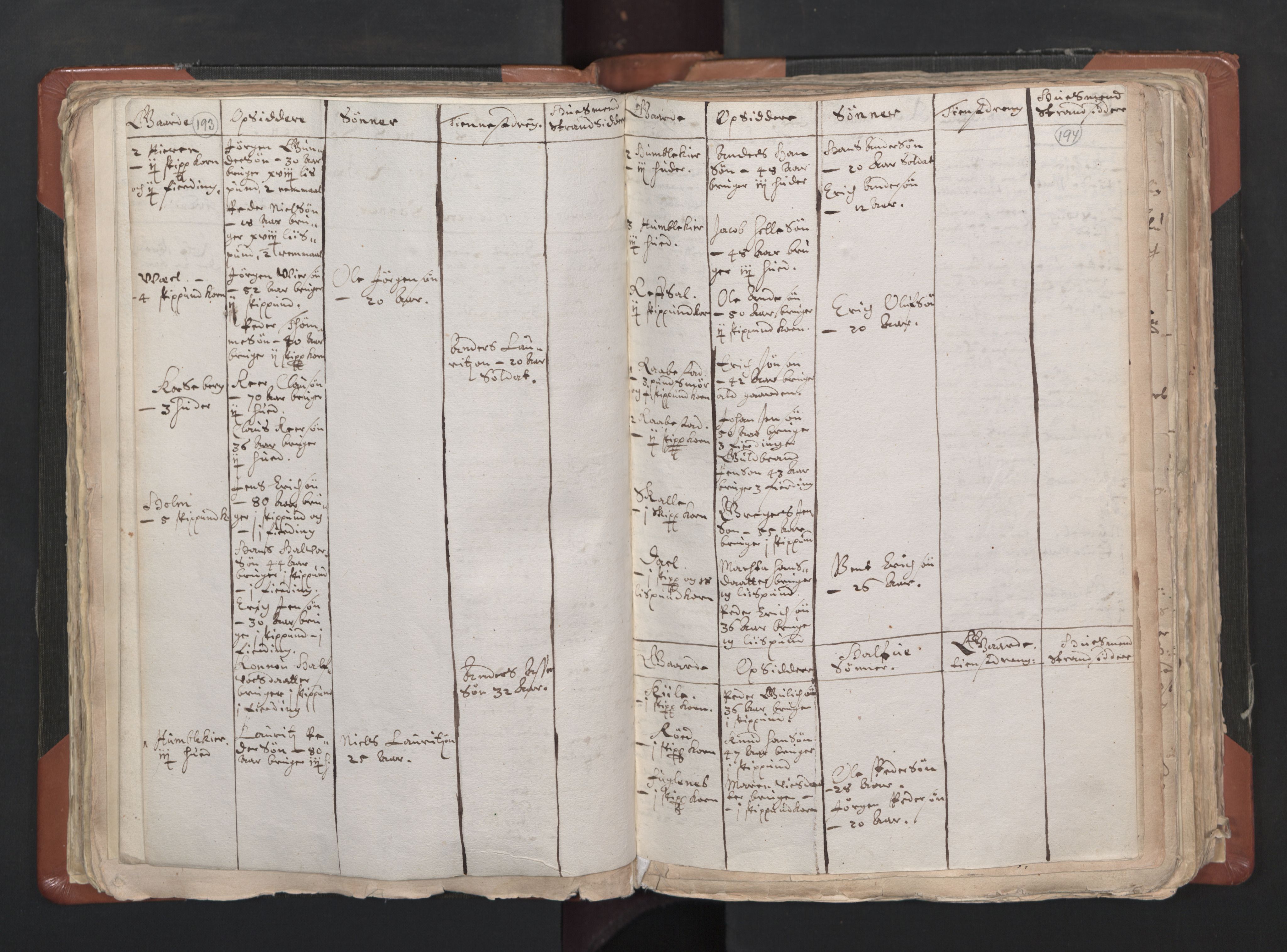 RA, Vicar's Census 1664-1666, no. 1: Nedre Borgesyssel deanery, 1664-1666, p. 193-194
