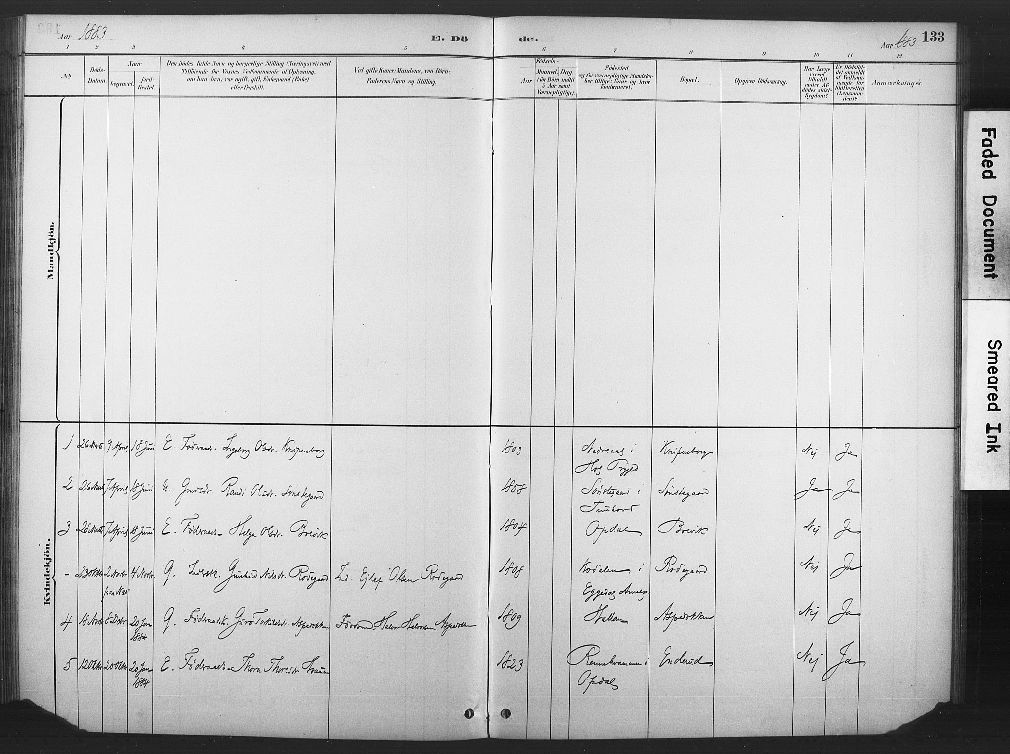 Nore kirkebøker, AV/SAKO-A-238/F/Fd/L0001: Parish register (official) no. IV 1, 1878-1918, p. 133