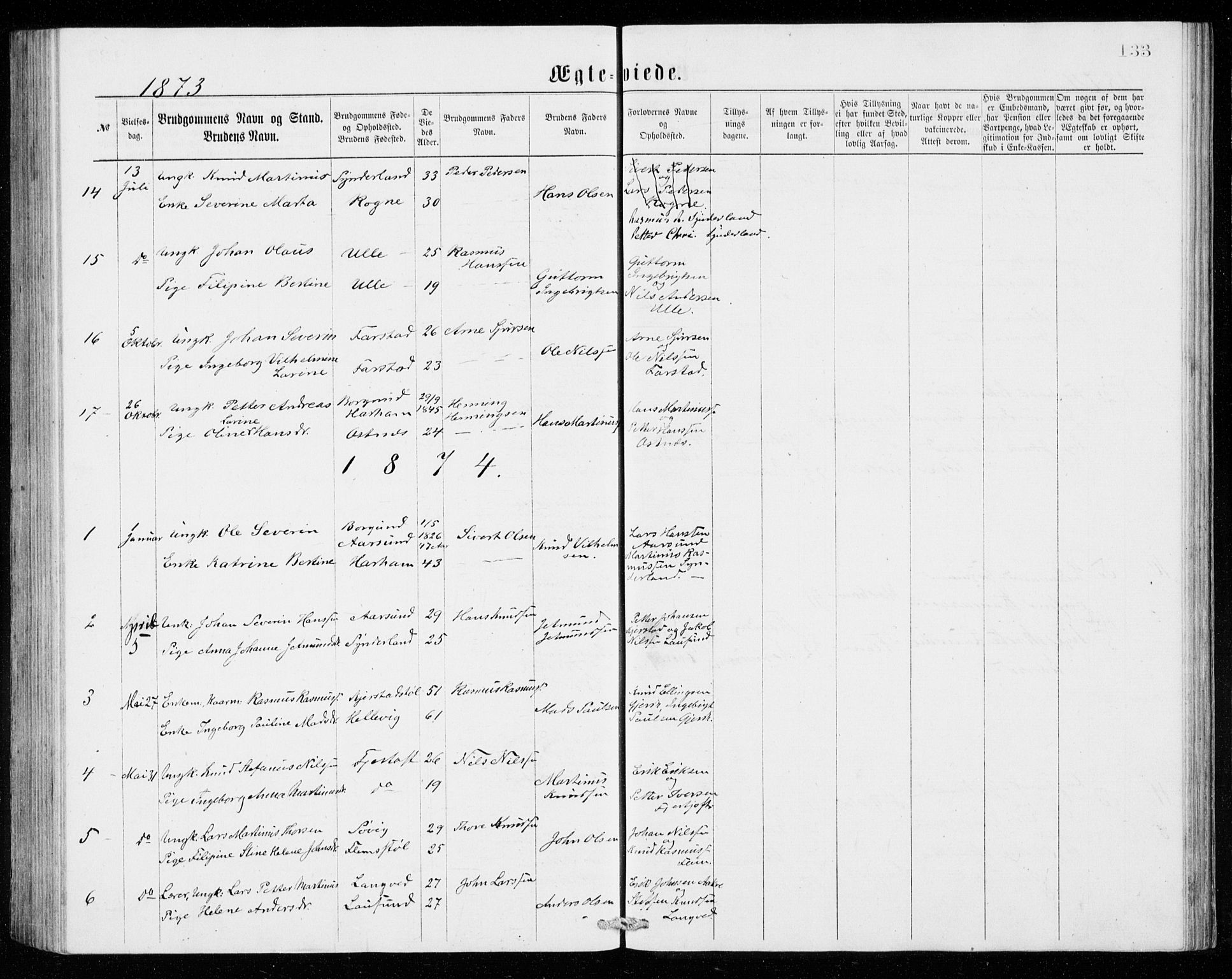 Ministerialprotokoller, klokkerbøker og fødselsregistre - Møre og Romsdal, AV/SAT-A-1454/536/L0509: Parish register (copy) no. 536C04, 1871-1881, p. 133