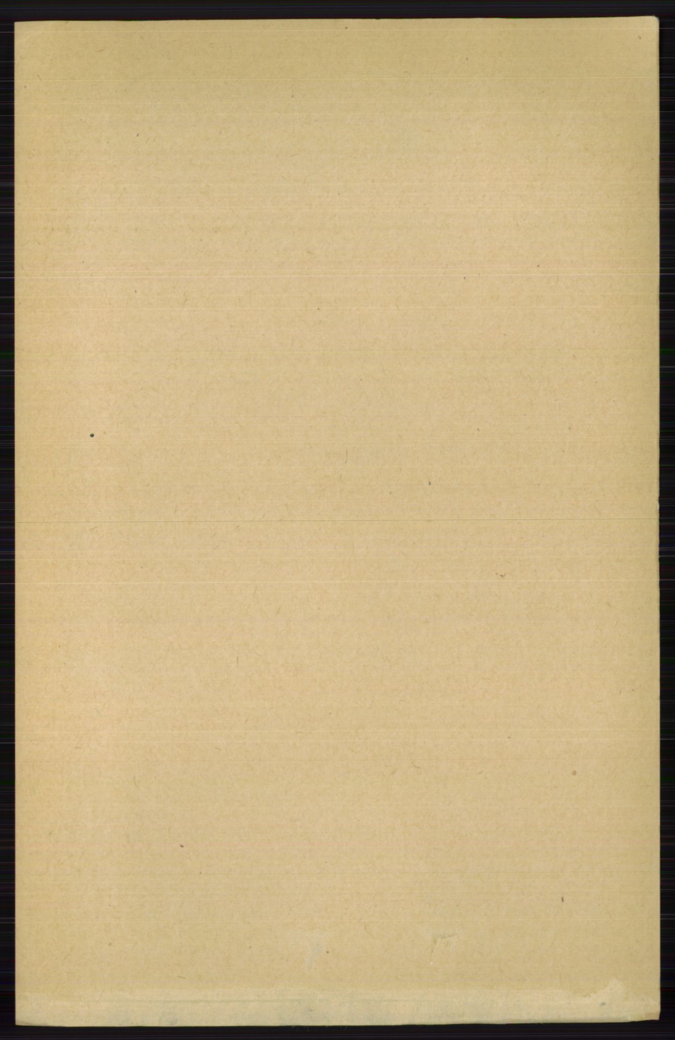 RA, 1891 census for 0616 Nes, 1891, p. 4077