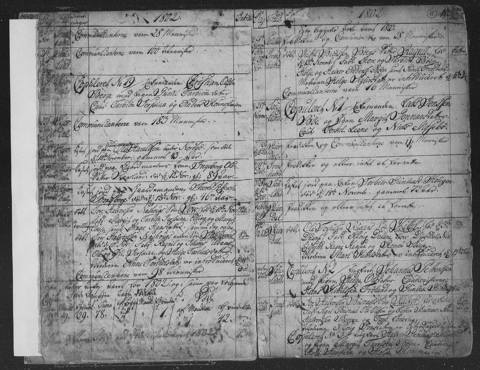 Hjartdal kirkebøker, SAKO/A-270/F/Fa/L0006: Parish register (official) no. I 6, 1801-1814, p. 11