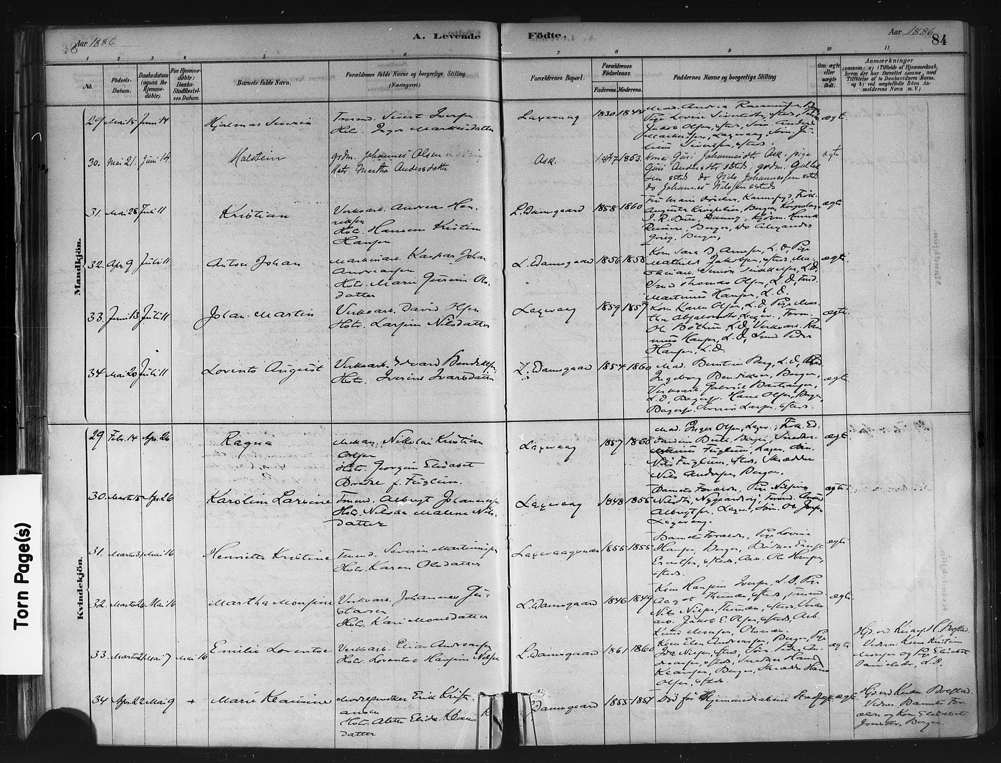 Askøy Sokneprestembete, AV/SAB-A-74101/H/Ha/Haa/Haae/L0002: Parish register (official) no. E 2, 1878-1891, p. 84