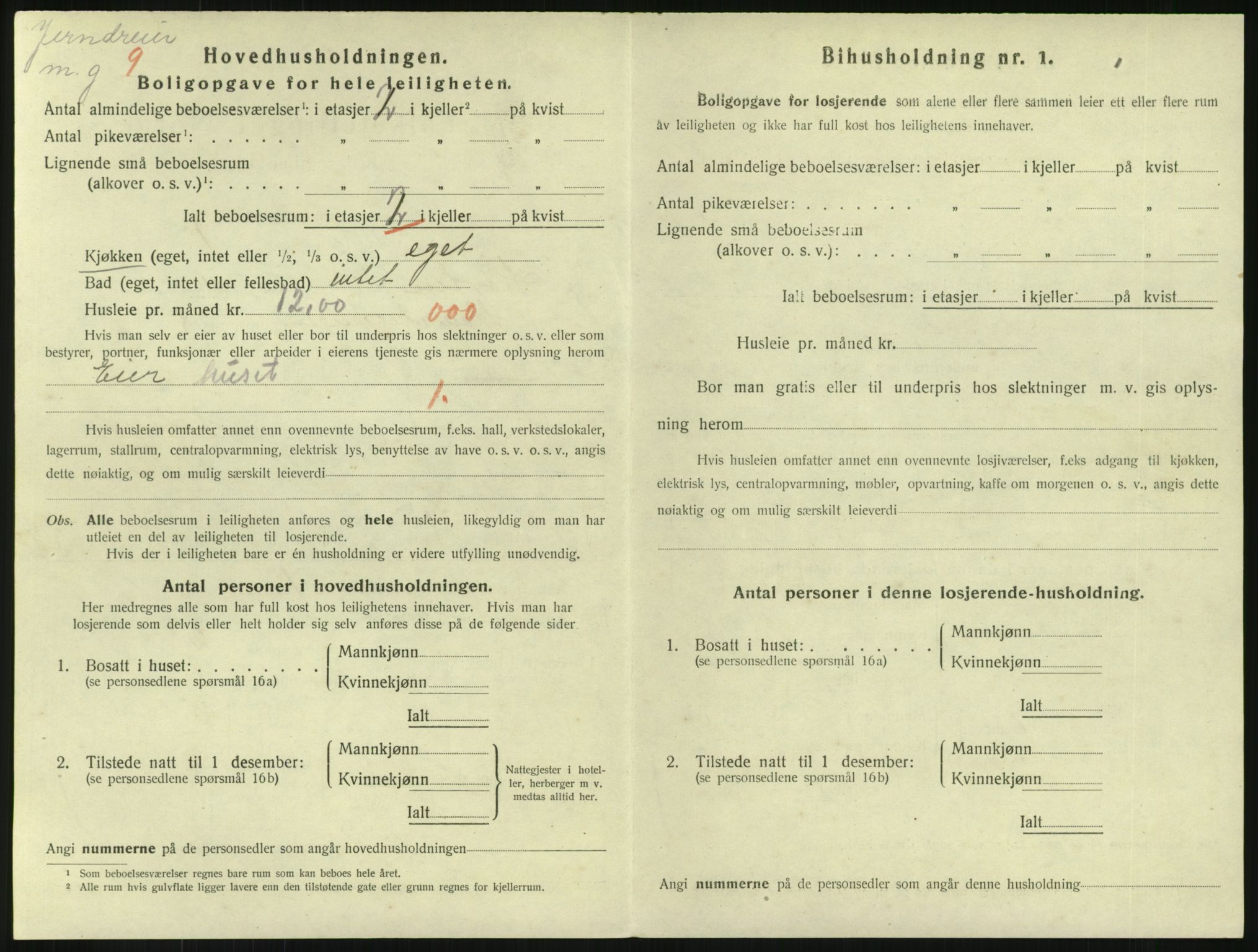 SAKO, 1920 census for Horten, 1920, p. 3874