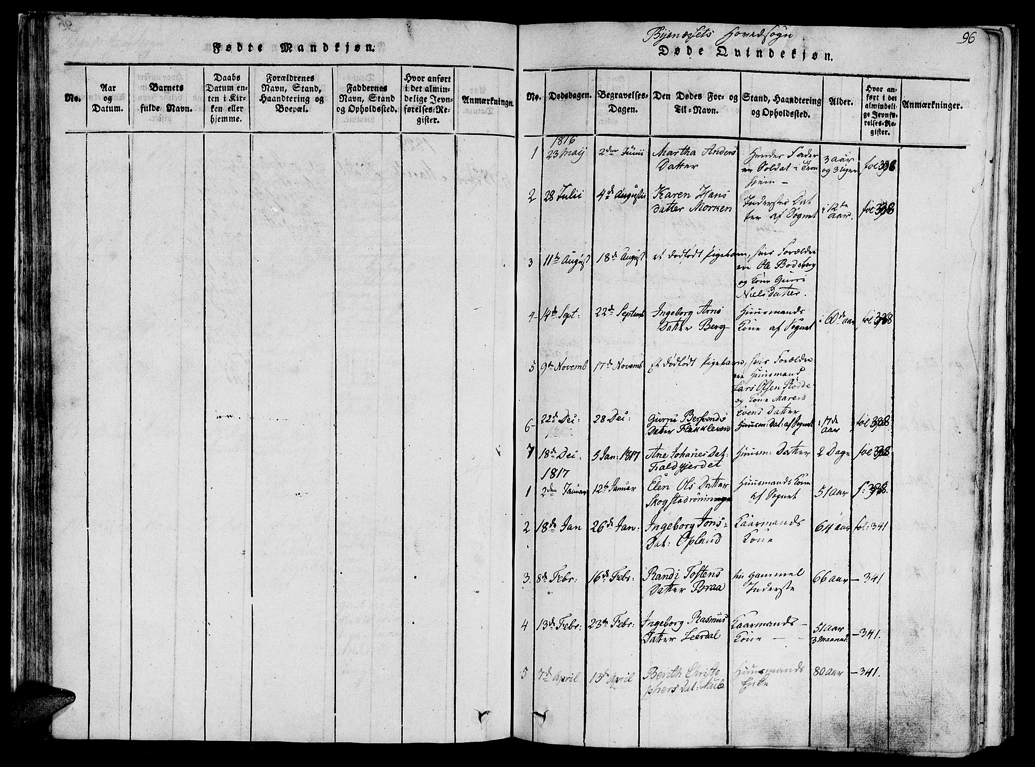 Ministerialprotokoller, klokkerbøker og fødselsregistre - Sør-Trøndelag, SAT/A-1456/612/L0372: Parish register (official) no. 612A06 /1, 1816-1828, p. 96