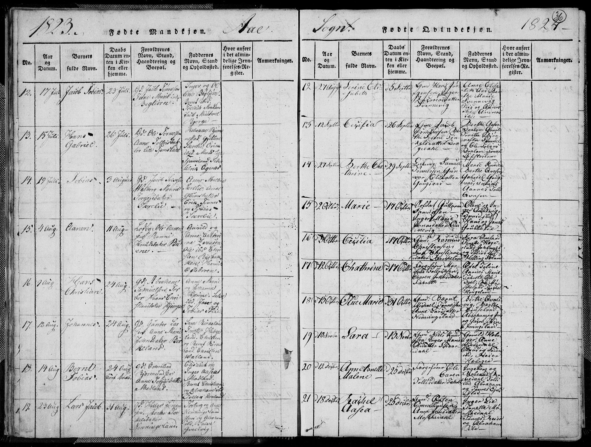 Lyngdal sokneprestkontor, SAK/1111-0029/F/Fa/Fac/L0006: Parish register (official) no. A 6, 1815-1825, p. 36