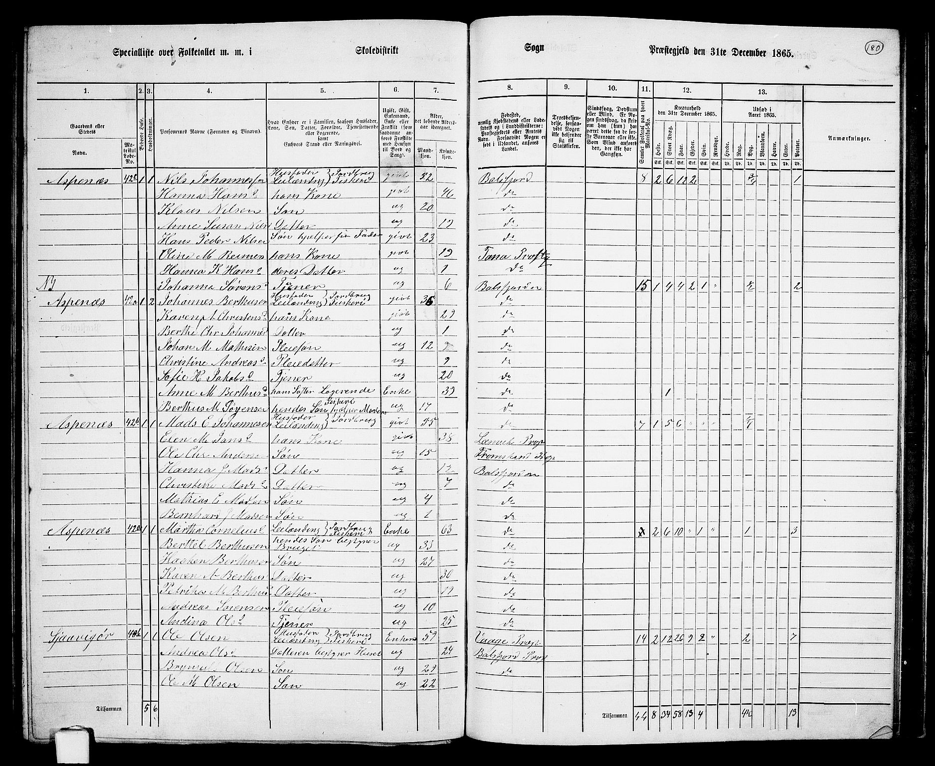 RA, 1865 census for Balsfjord, 1865, p. 113