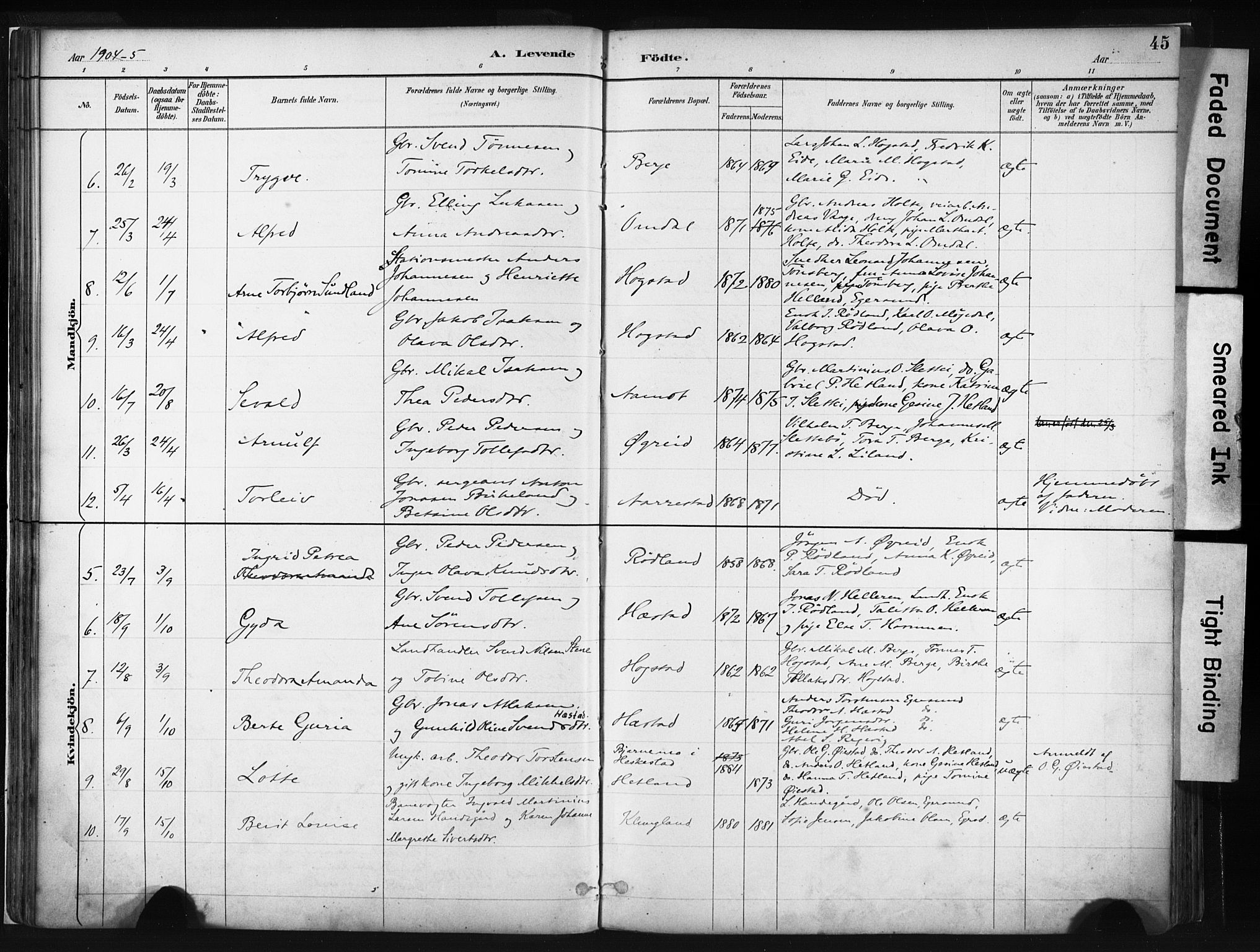 Helleland sokneprestkontor, SAST/A-101810: Parish register (official) no. A 8, 1887-1907, p. 45