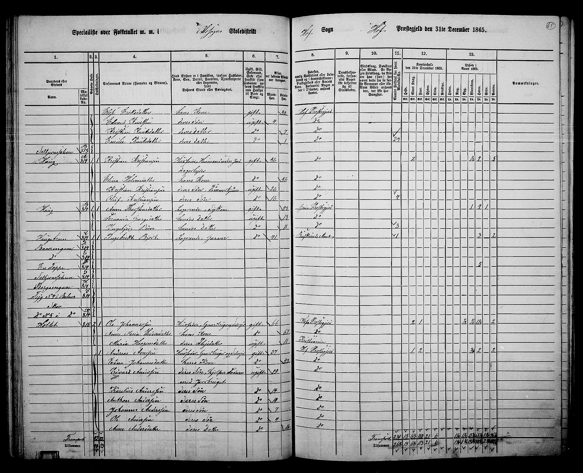 RA, 1865 census for Hof, 1865, p. 61