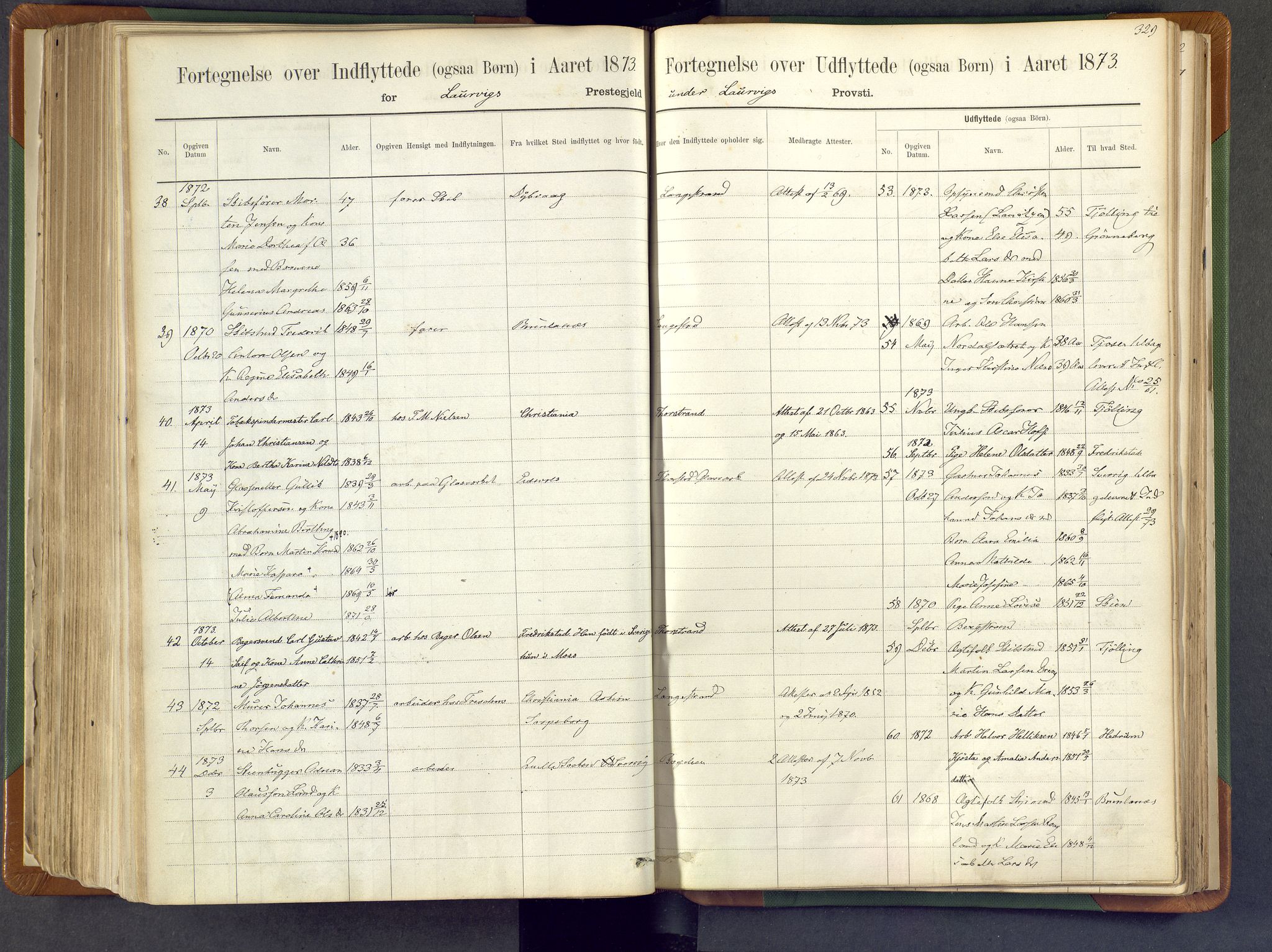 Larvik kirkebøker, AV/SAKO-A-352/F/Fa/L0007: Parish register (official) no. I 7, 1871-1883, p. 329