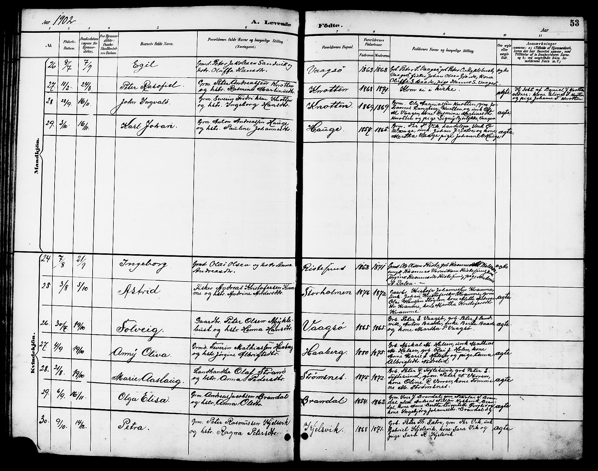 Ministerialprotokoller, klokkerbøker og fødselsregistre - Møre og Romsdal, AV/SAT-A-1454/503/L0049: Parish register (copy) no. 503C04, 1894-1915, p. 53