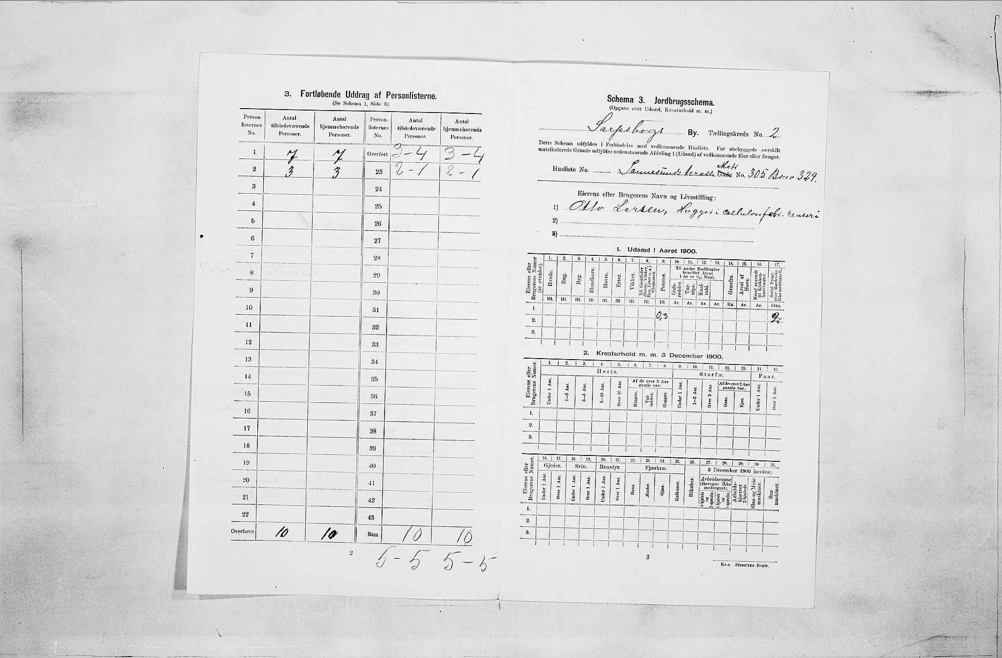 SAO, 1900 census for Sarpsborg, 1900