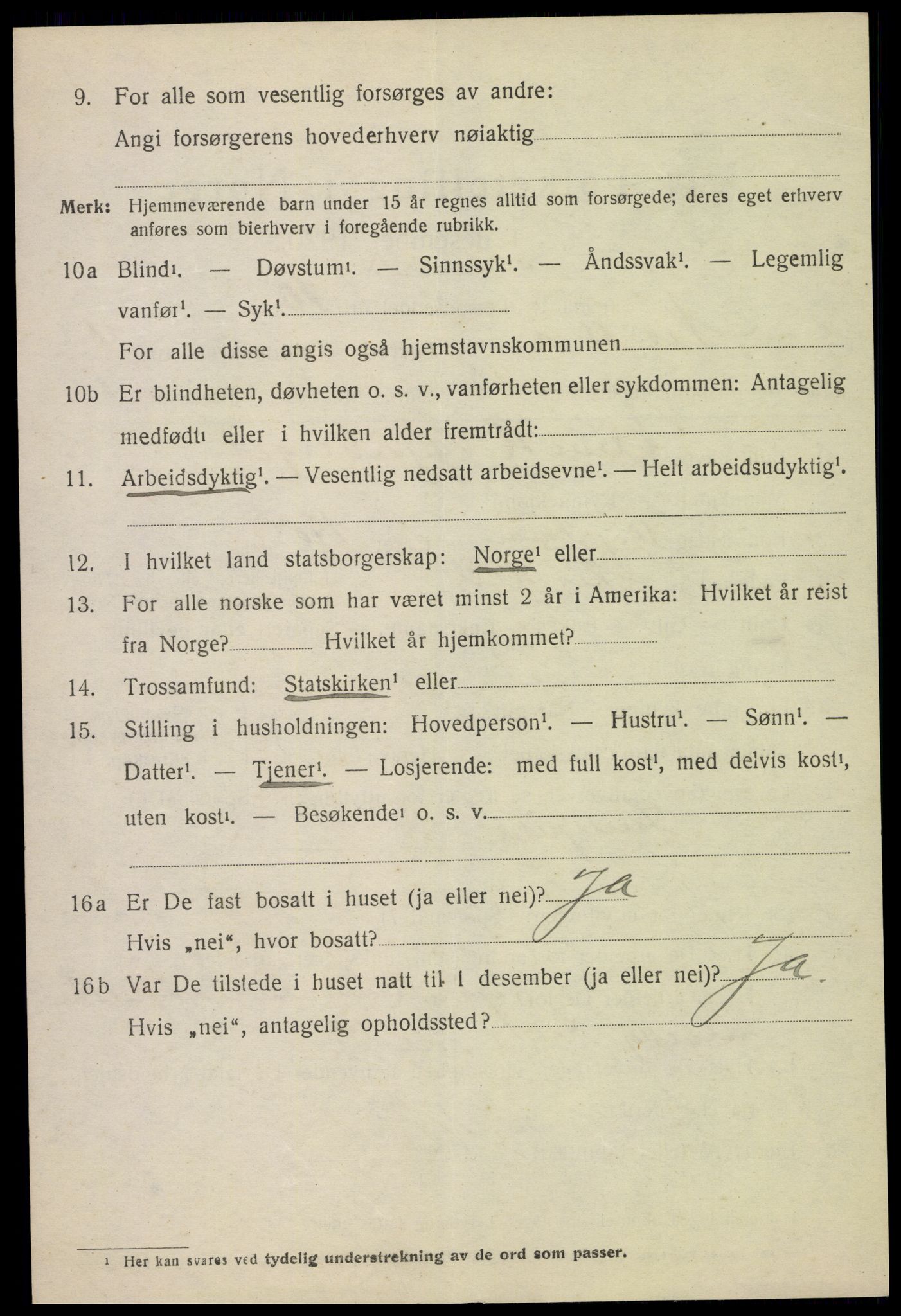 SAH, 1920 census for Nes (Hedmark), 1920, p. 6637
