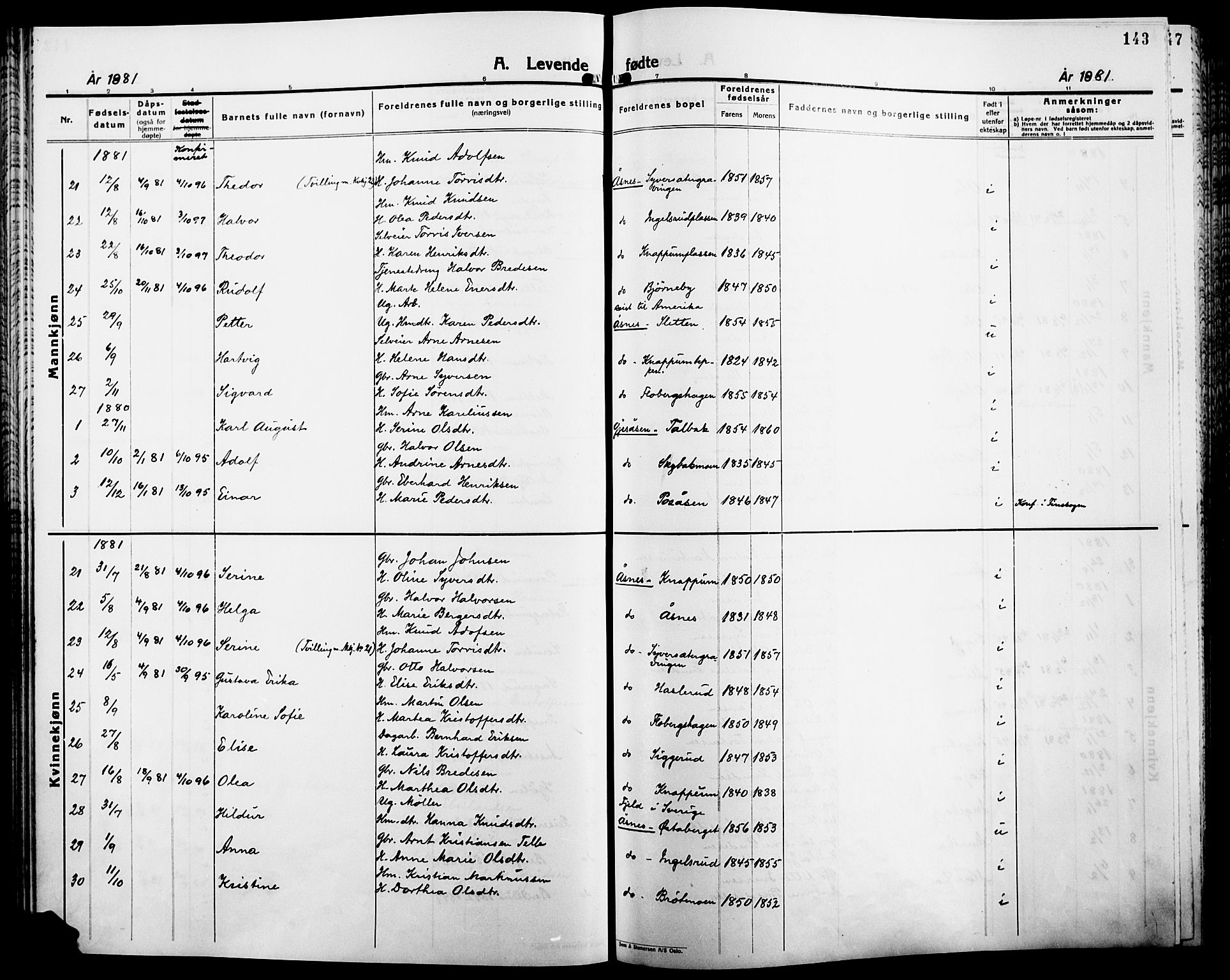 Åsnes prestekontor, SAH/PREST-042/H/Ha/Haa/L0000B: Parish register (official), 1870-1889, p. 143