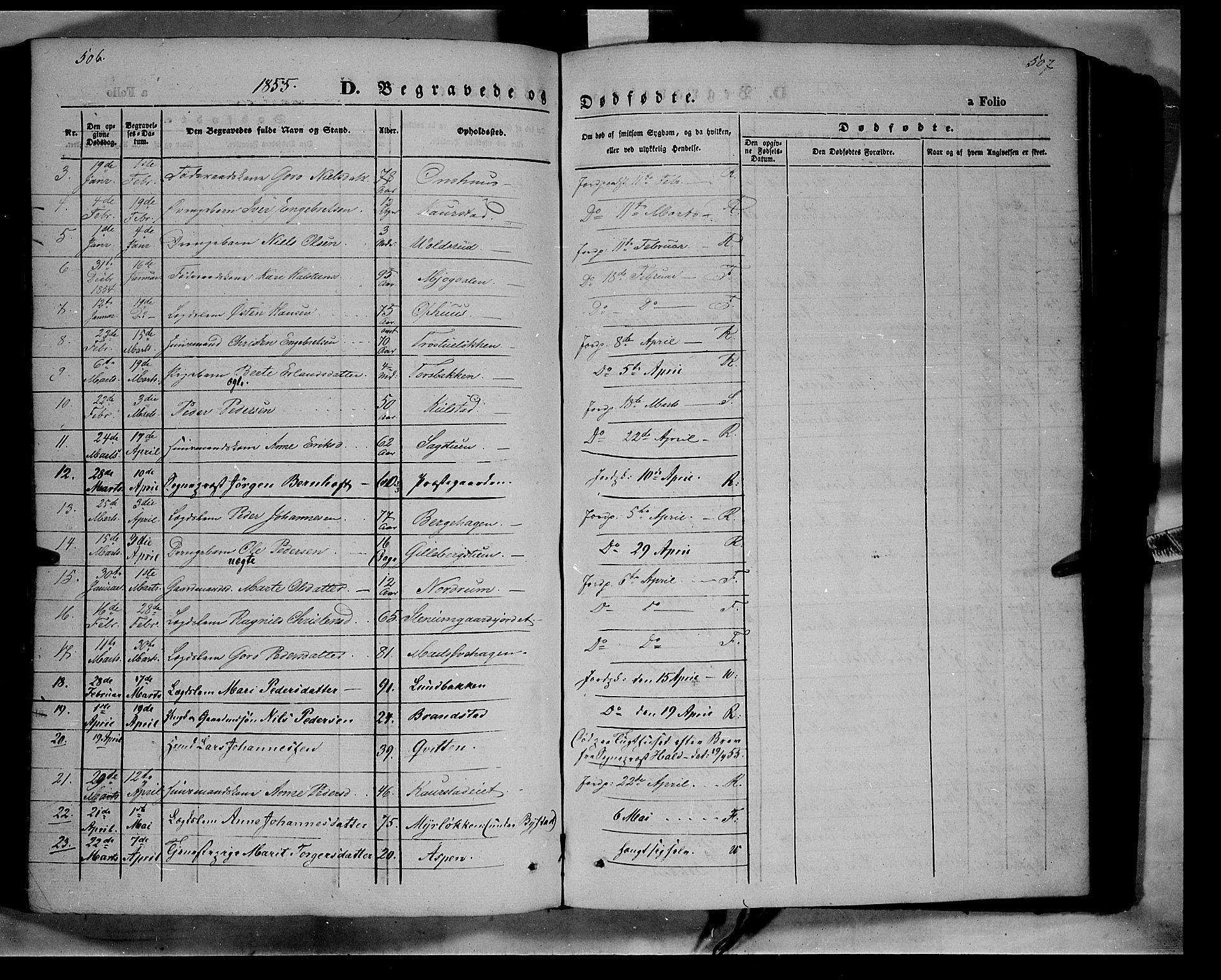 Ringebu prestekontor, SAH/PREST-082/H/Ha/Haa/L0006: Parish register (official) no. 6, 1848-1859, p. 506-507