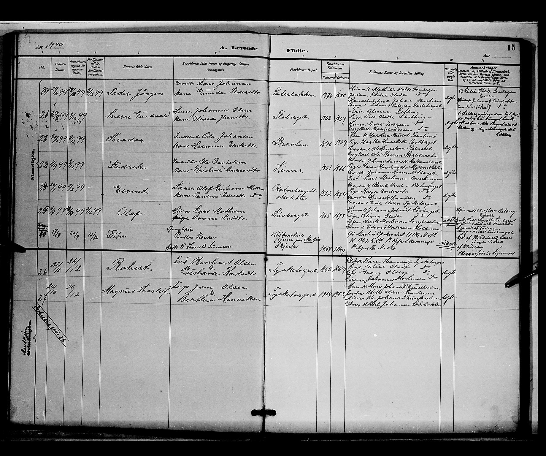 Grue prestekontor, AV/SAH-PREST-036/H/Ha/Hab/L0004: Parish register (copy) no. 4, 1895-1901, p. 15