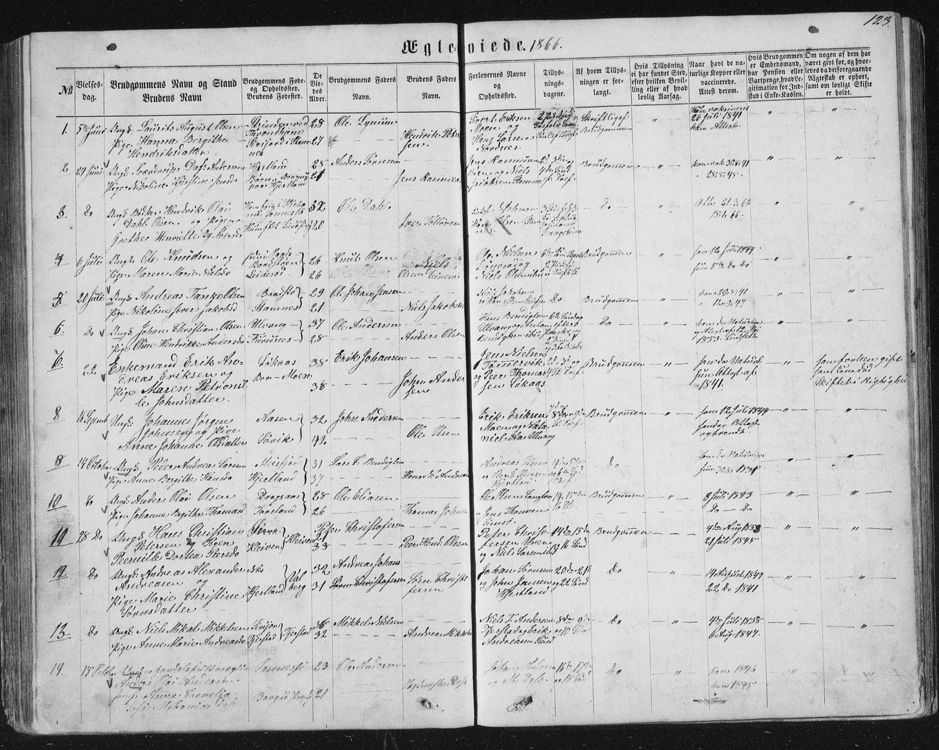 Ministerialprotokoller, klokkerbøker og fødselsregistre - Nordland, AV/SAT-A-1459/831/L0476: Parish register (copy) no. 831C03, 1866-1877, p. 123