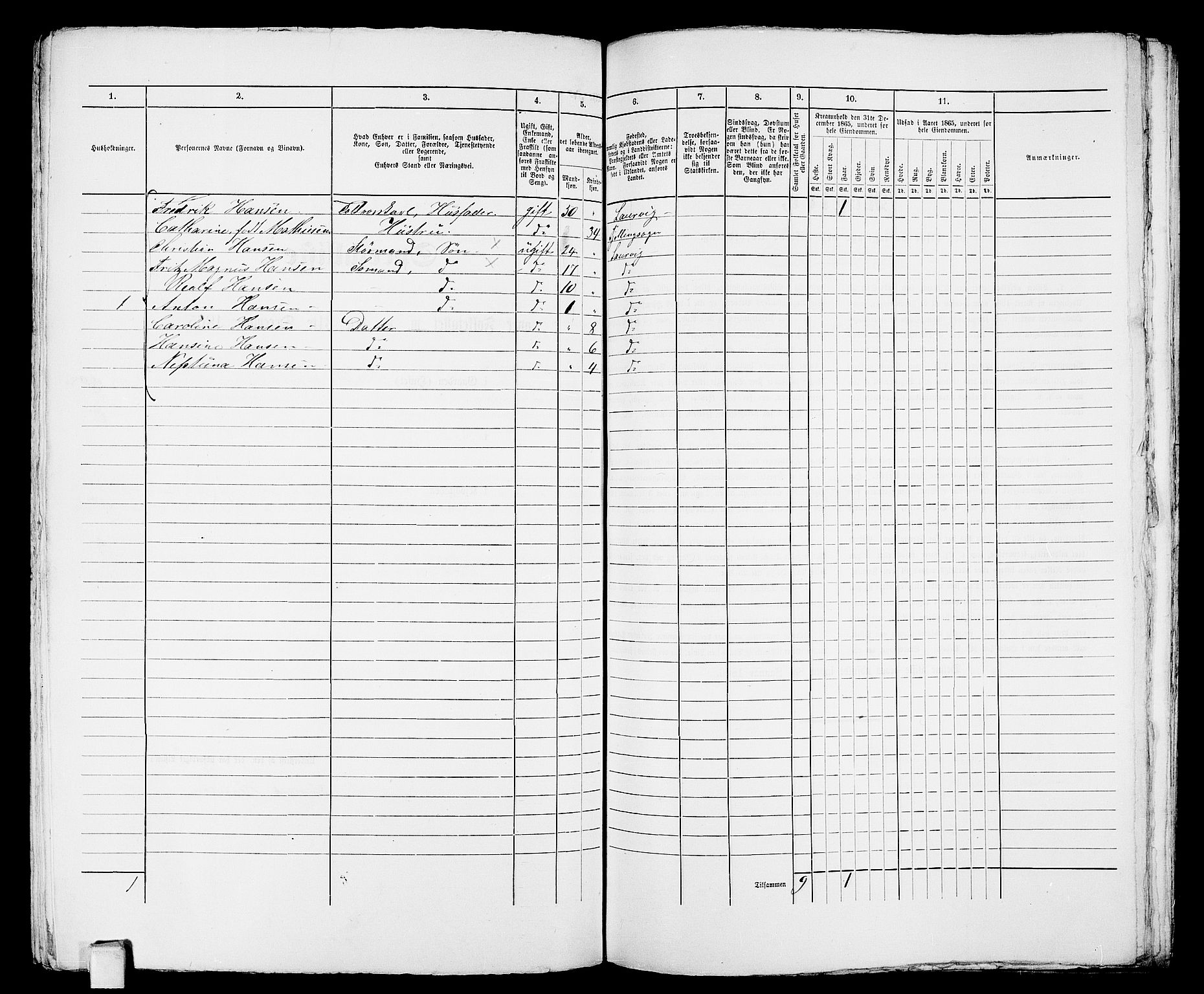 RA, 1865 census for Larvik, 1865, p. 911