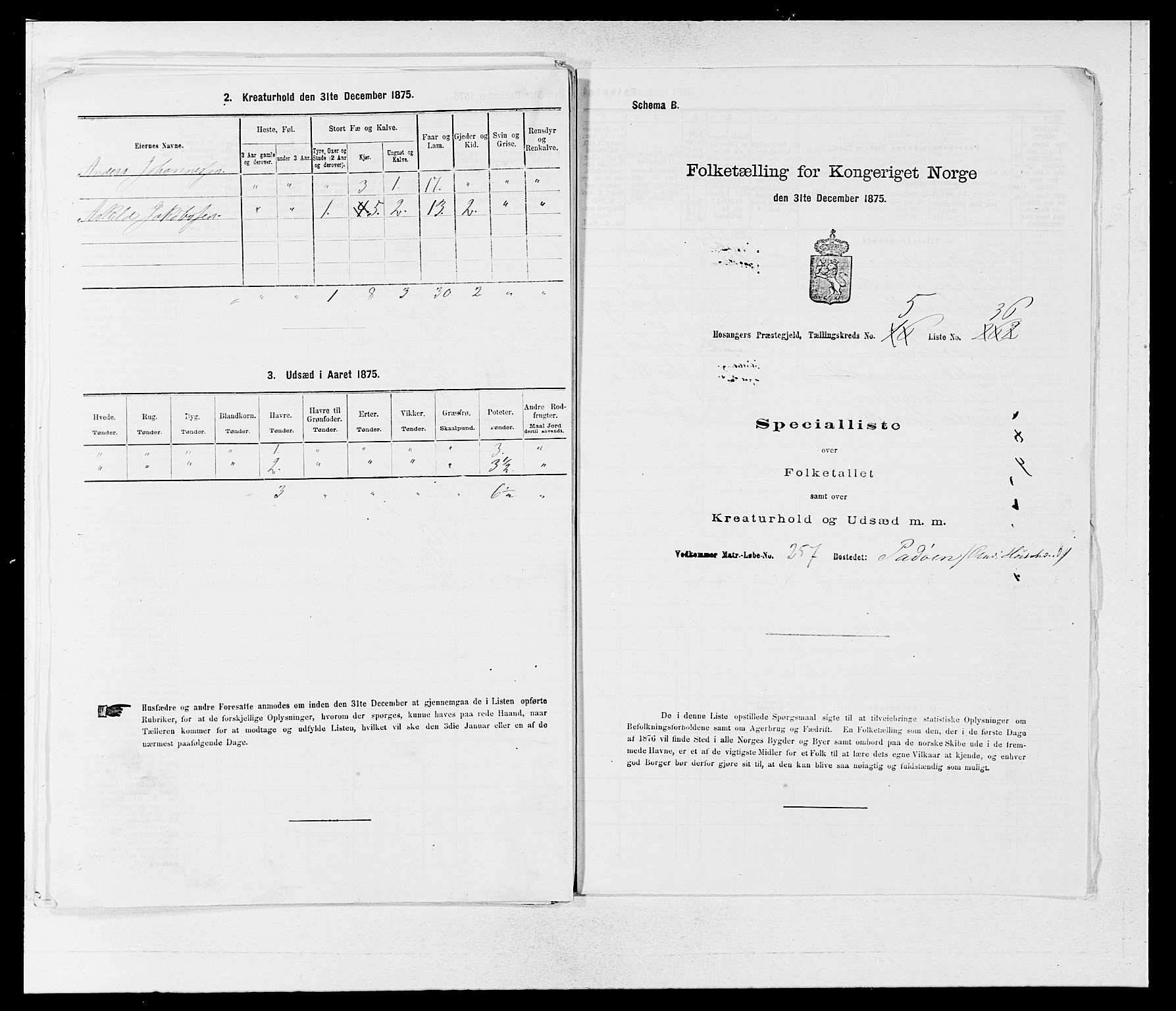 SAB, 1875 census for 1253P Hosanger, 1875, p. 497