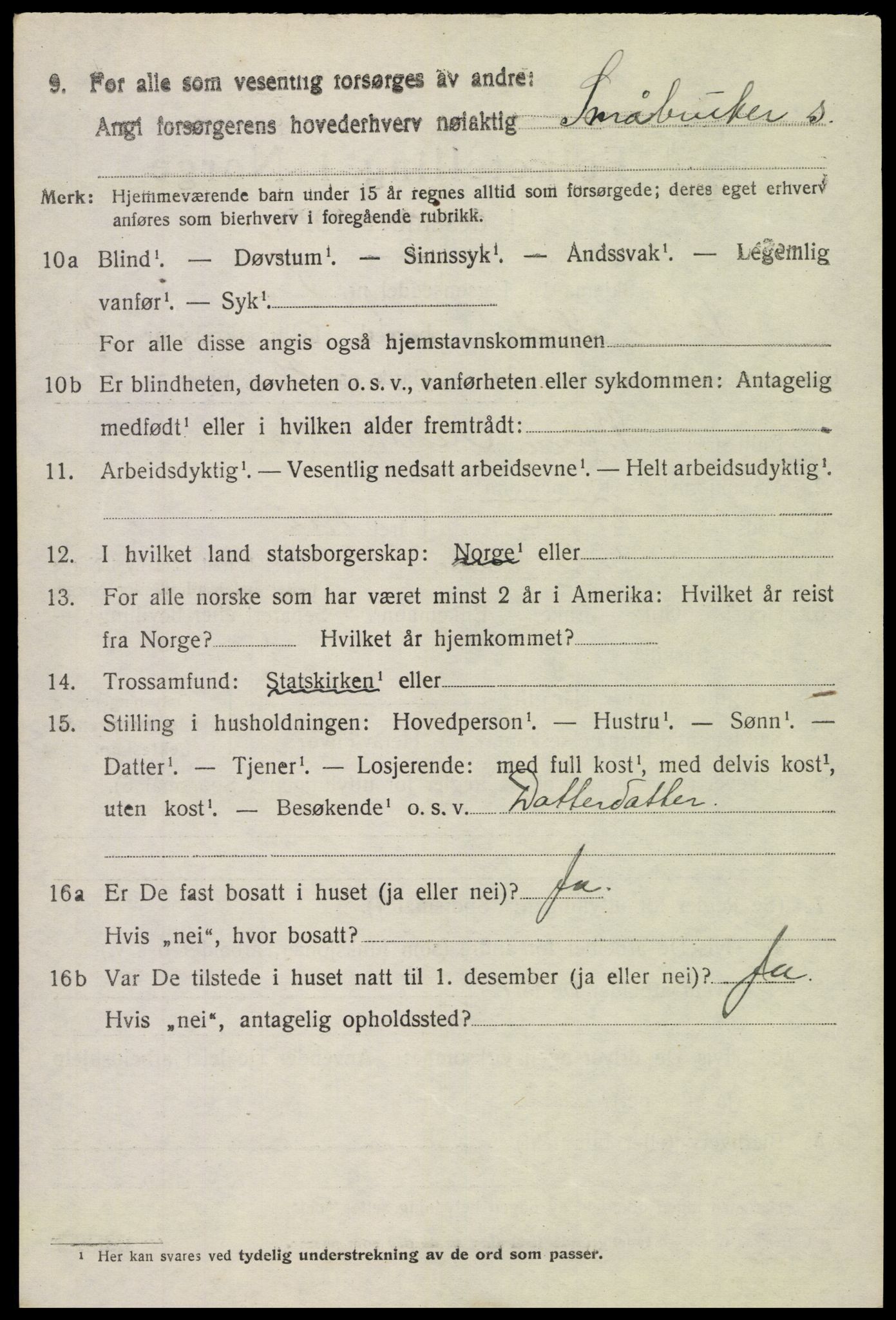 SAH, 1920 census for Vestre Slidre, 1920, p. 2019