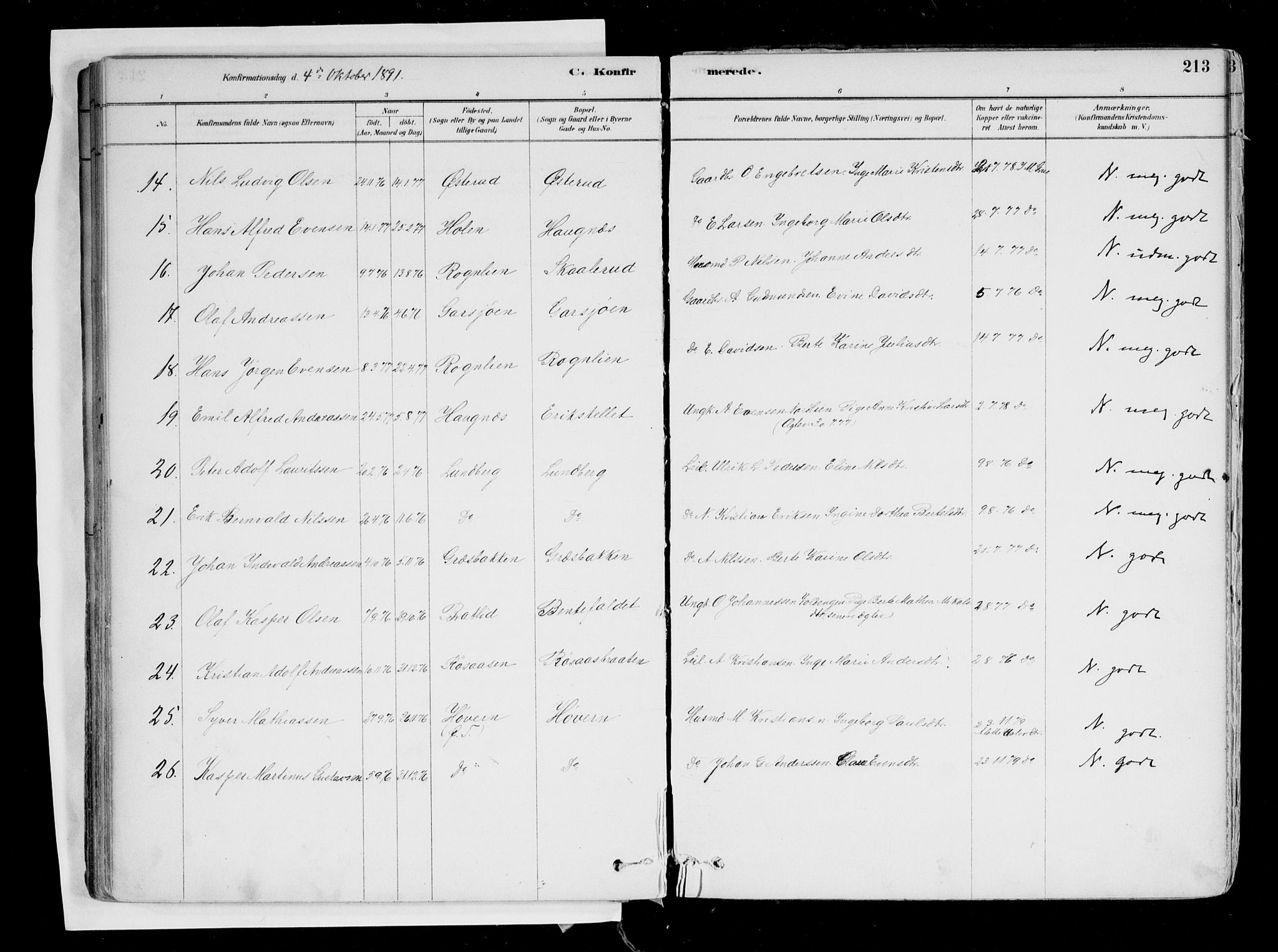 Hurdal prestekontor Kirkebøker, AV/SAO-A-10889/F/Fa/L0007: Parish register (official) no. I 7, 1878-1906, p. 213