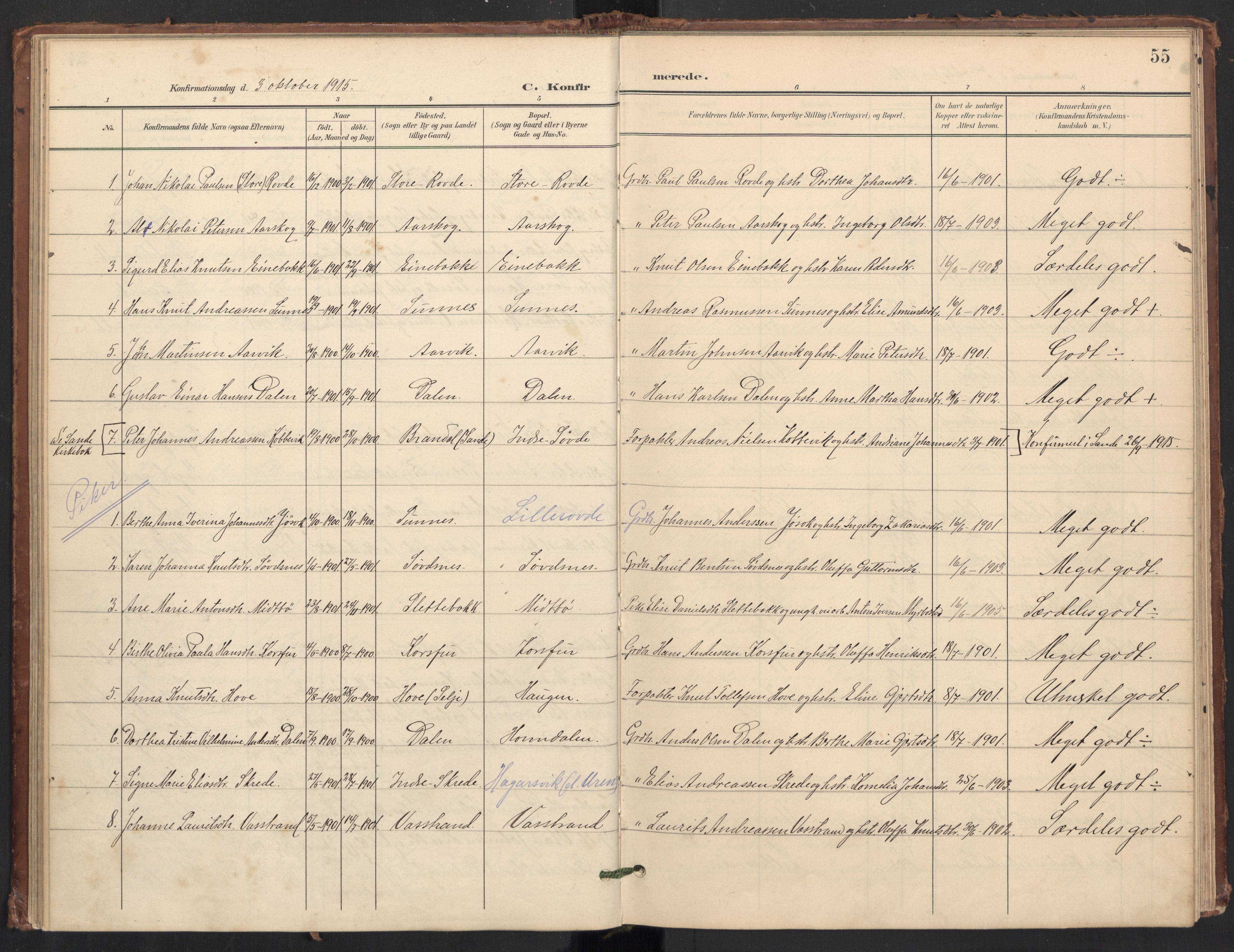 Ministerialprotokoller, klokkerbøker og fødselsregistre - Møre og Romsdal, AV/SAT-A-1454/504/L0057: Parish register (official) no. 504A04, 1902-1919, p. 55