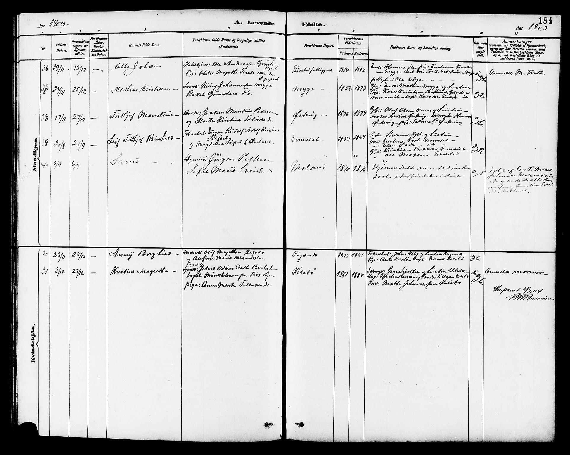 Avaldsnes sokneprestkontor, AV/SAST-A -101851/H/Ha/Hab/L0007: Parish register (copy) no. B 7, 1885-1909, p. 184