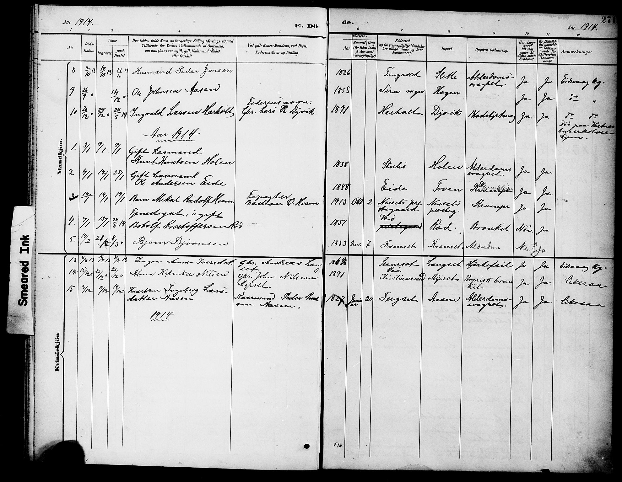 Ministerialprotokoller, klokkerbøker og fødselsregistre - Møre og Romsdal, SAT/A-1454/551/L0632: Parish register (copy) no. 551C04, 1894-1920, p. 271